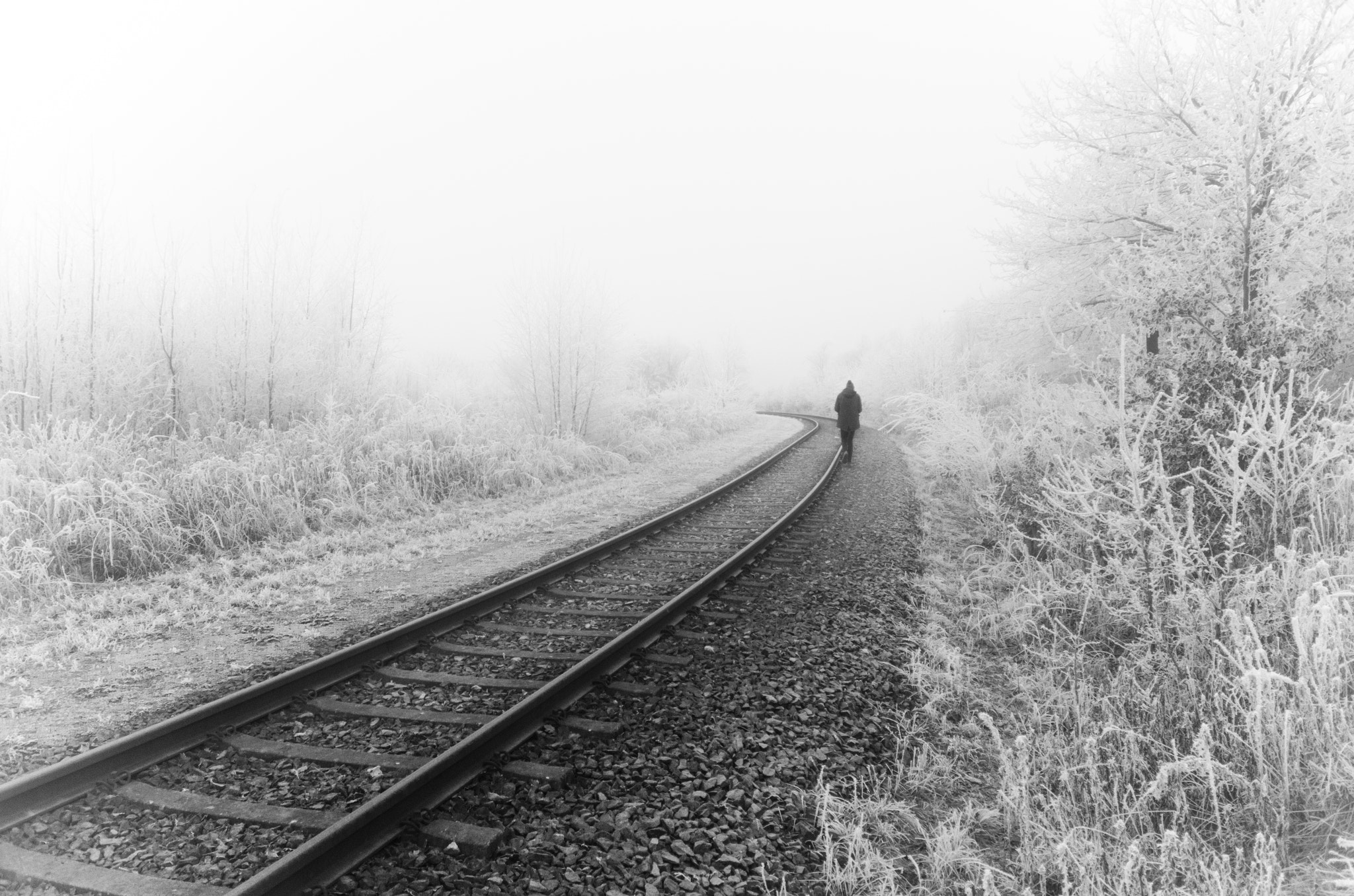 Nikon D5100 + Nikon PC-E Nikkor 24mm F3.5D ED Tilt-Shift sample photo. Lone person walking along the rails photography