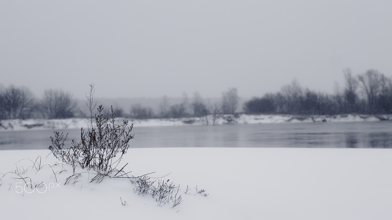 Canon EF 35-80mm f/4-5.6 sample photo. *** photography