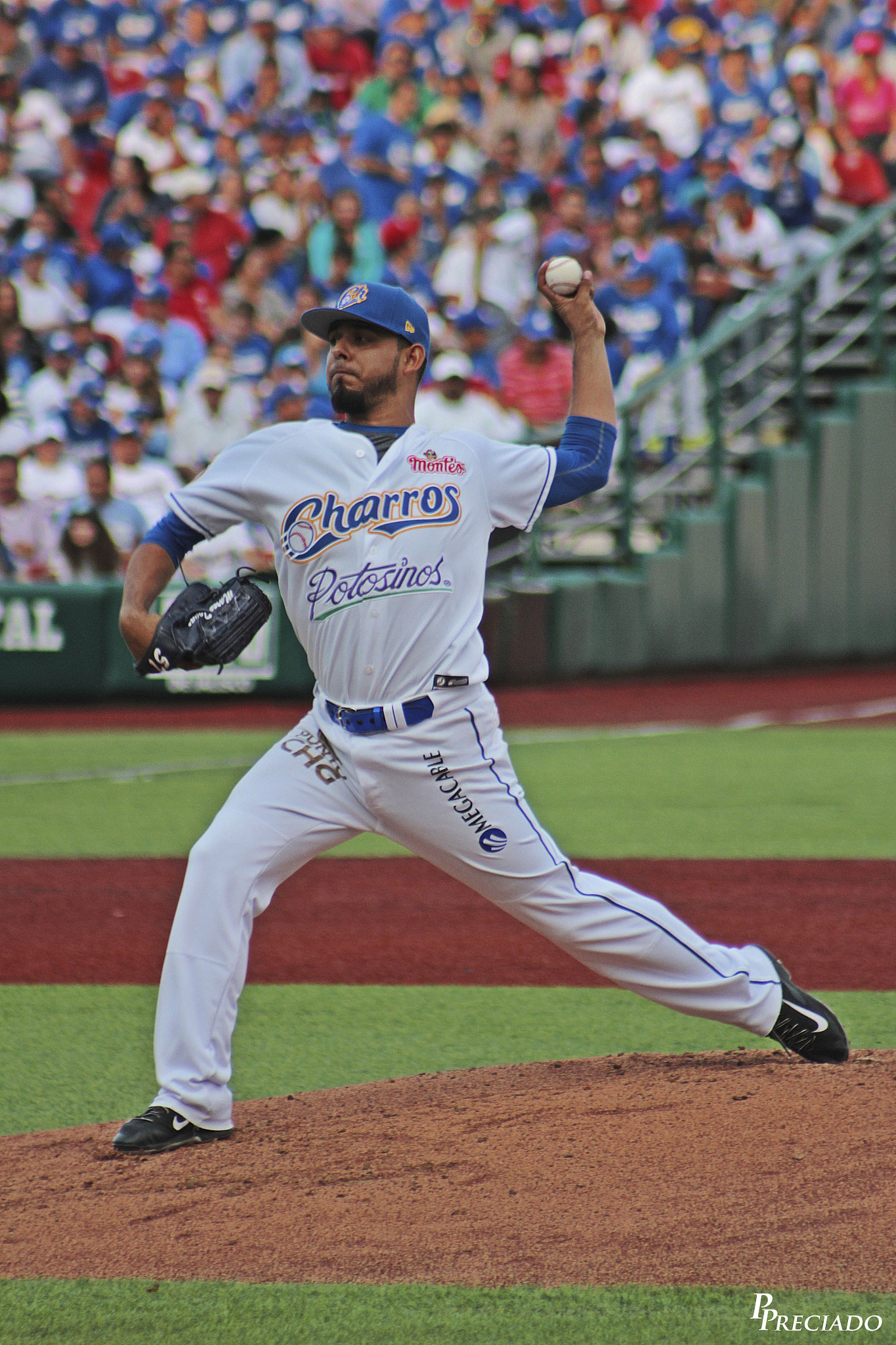 Canon EF 75-300mm f/4-5.6 USM sample photo. Img photography