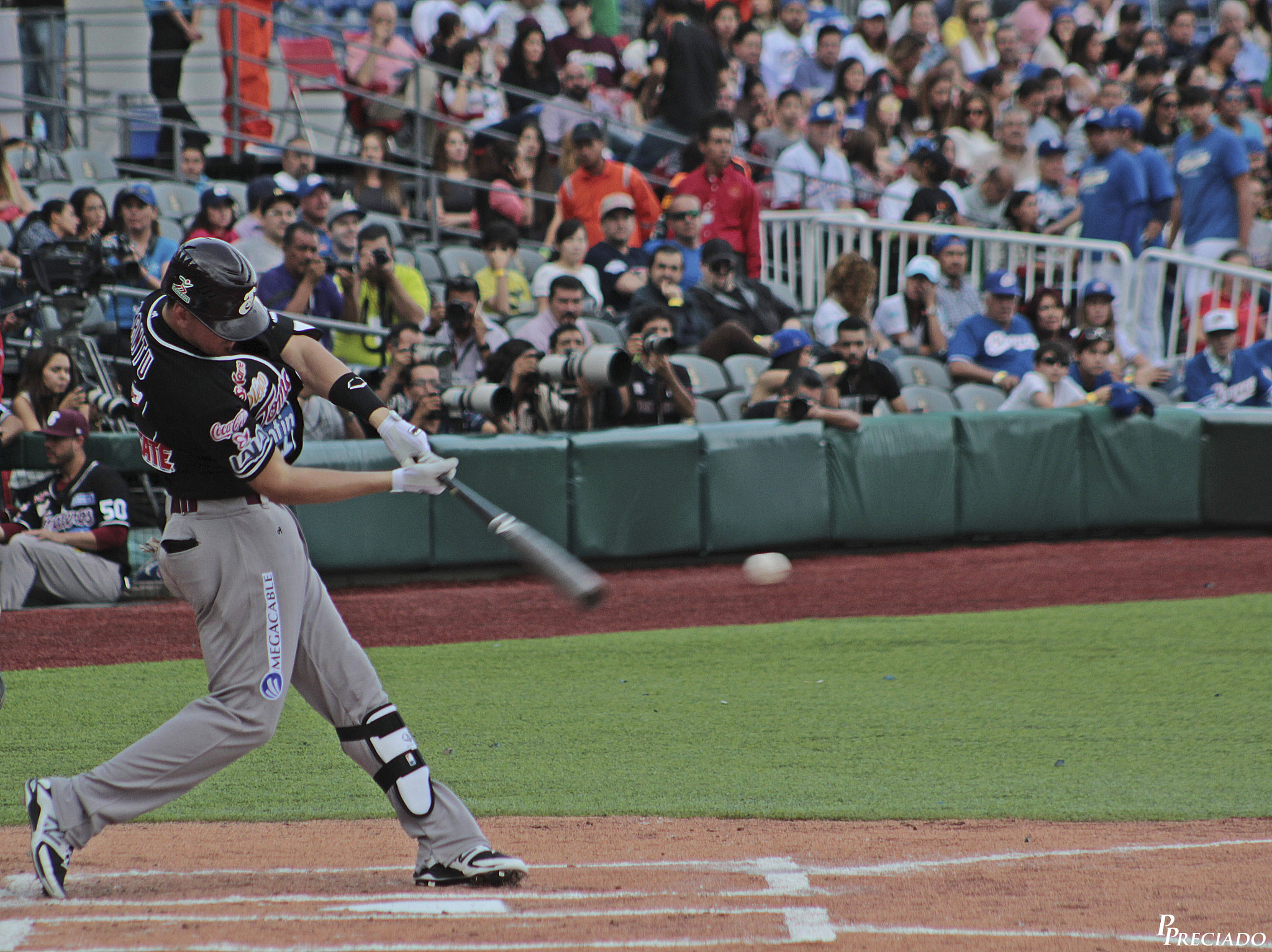 Canon EF 75-300mm f/4-5.6 USM sample photo. Img photography