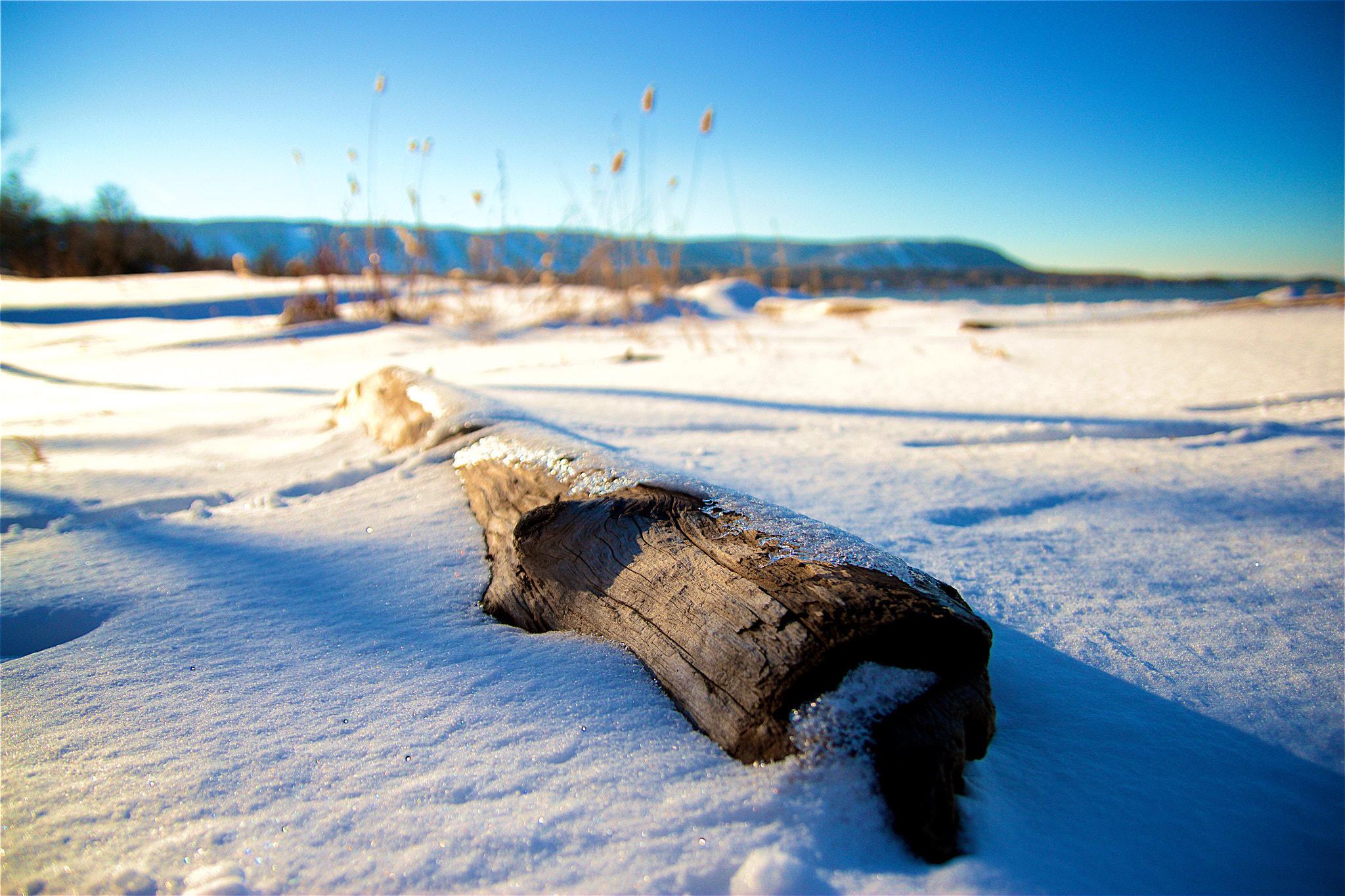 Canon EOS 550D (EOS Rebel T2i / EOS Kiss X4) sample photo. Winter beachwood photography