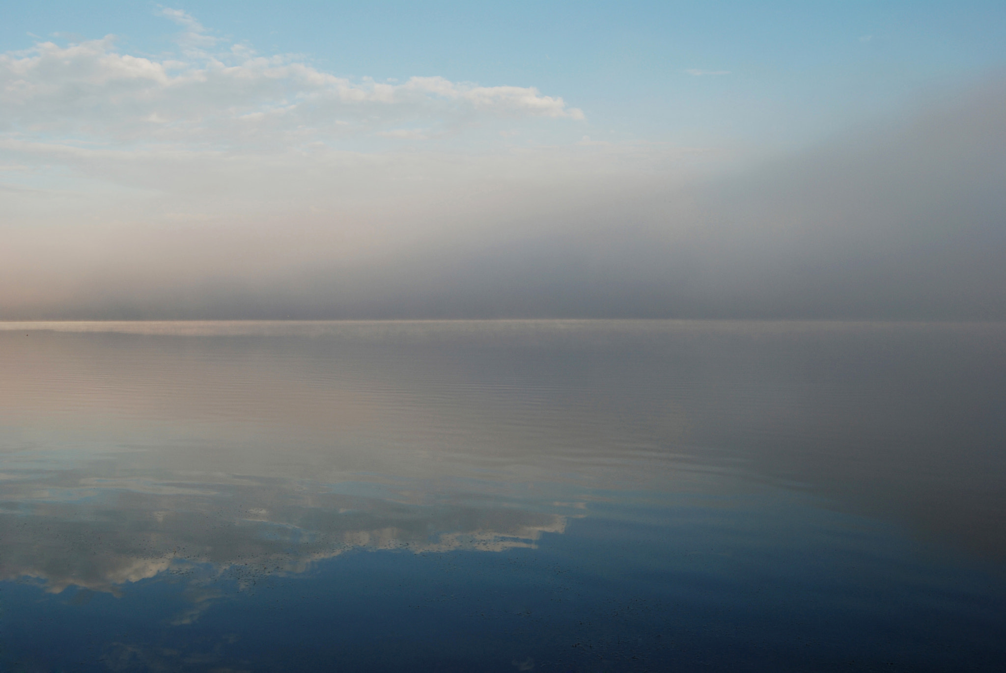 Nikon D80 sample photo. Fog reflected photography
