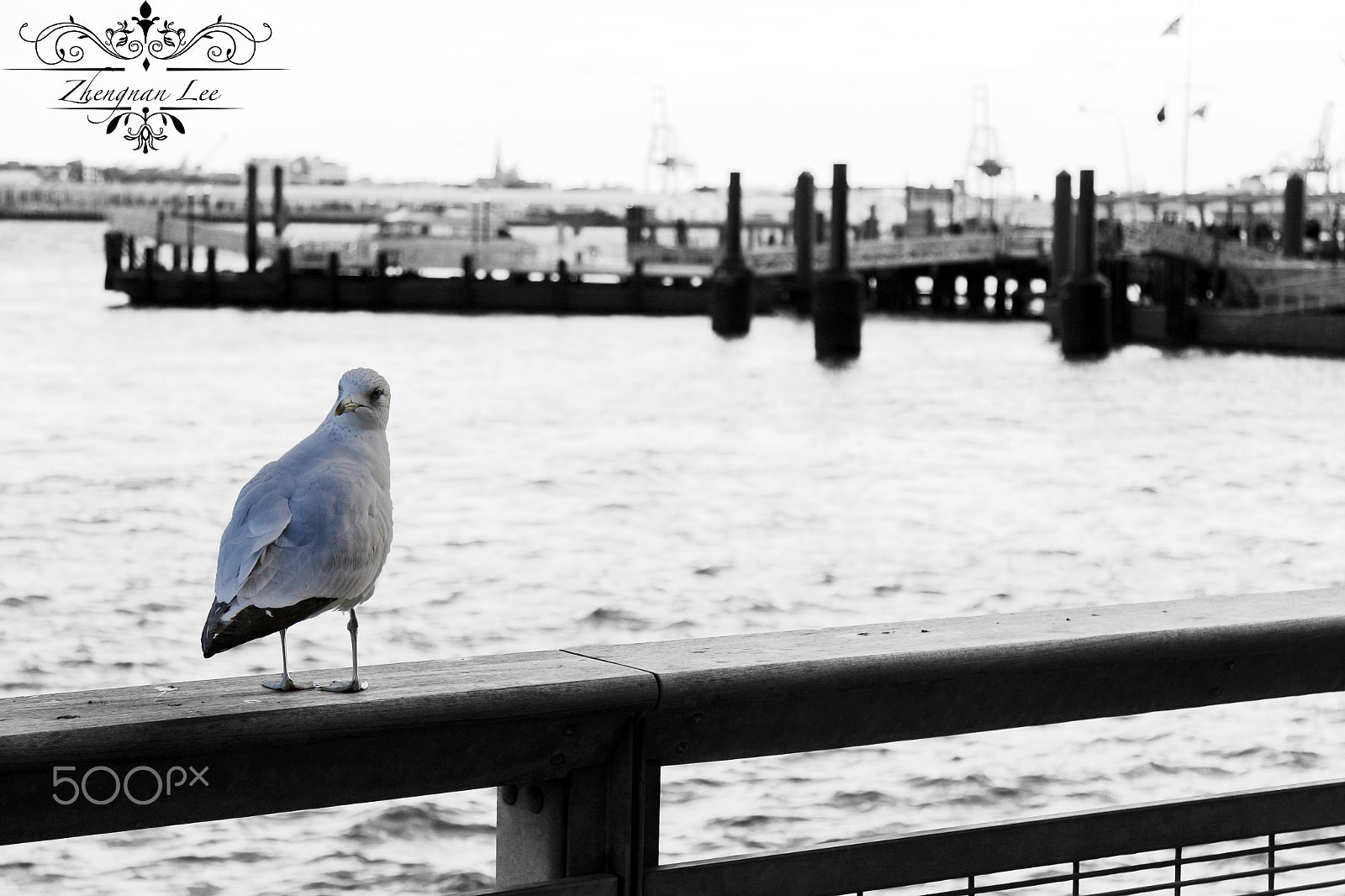 Canon EOS M2 sample photo. Brooklyn bridge, nyc photography