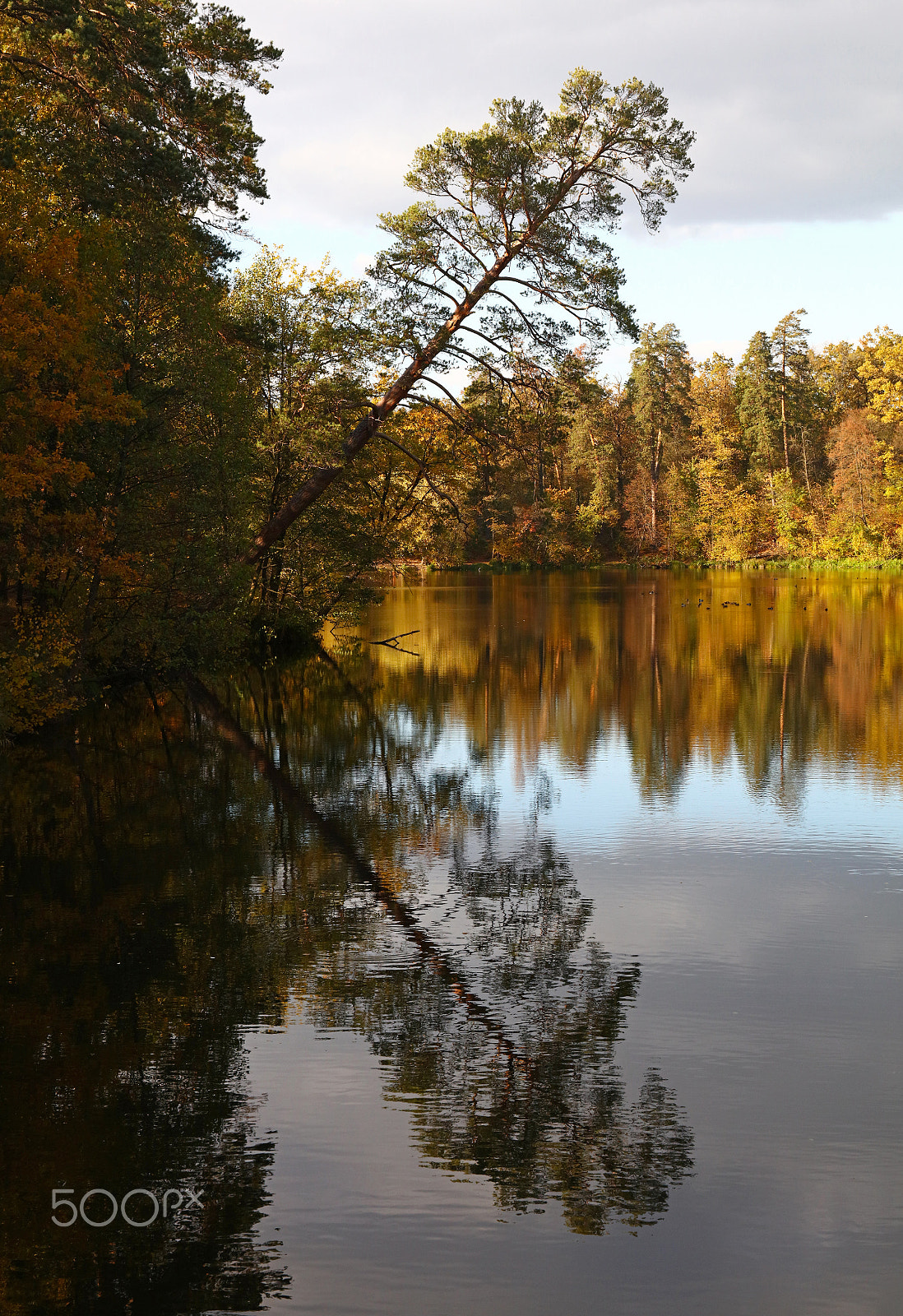 Canon EOS 5DS sample photo. Fall is a good time to fall photography