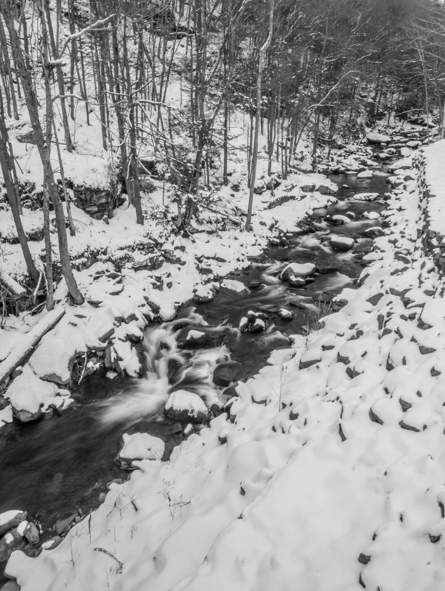 Canon EOS 550D (EOS Rebel T2i / EOS Kiss X4) sample photo. Flowing out of forestburgh photography