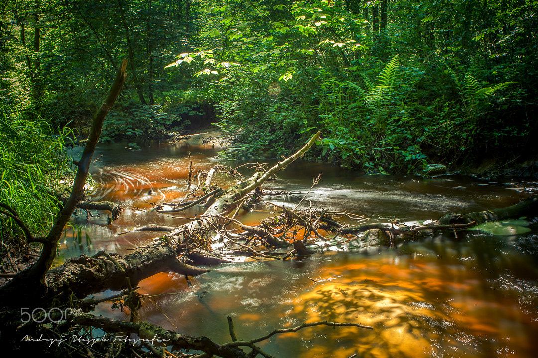 Canon EOS 50D sample photo. Yellow river ;) photography