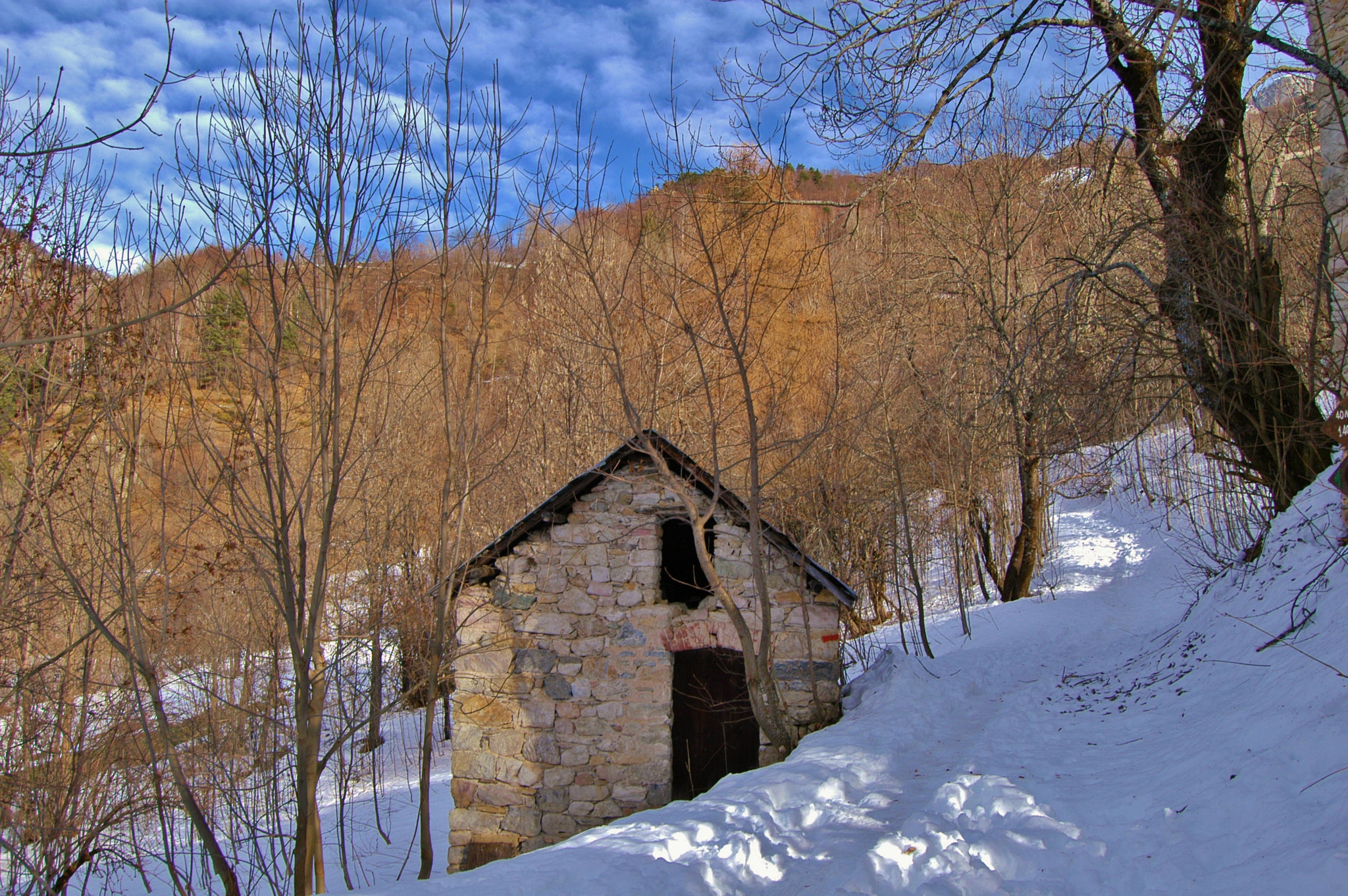 Nikon D100 sample photo. Limone piemonte photography