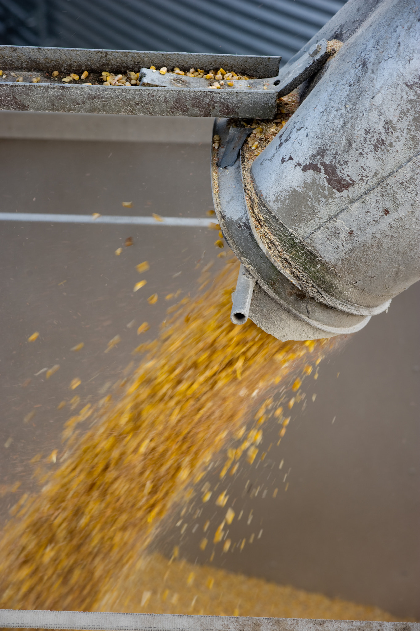 Nikon AF-Nikkor 80-200mm F2.8D ED sample photo. Bill malkus, crop insurance profile photography