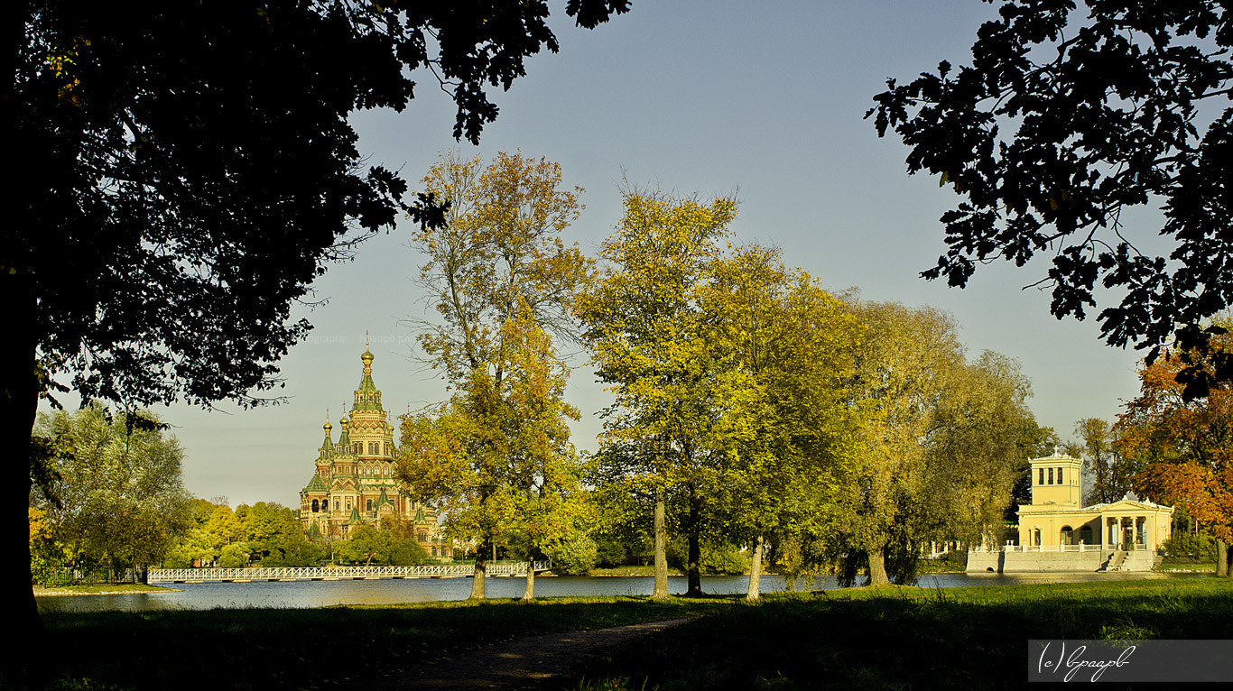 Sony Alpha NEX-5 sample photo. Peterhof | cathedral of saints peter and paul and photography