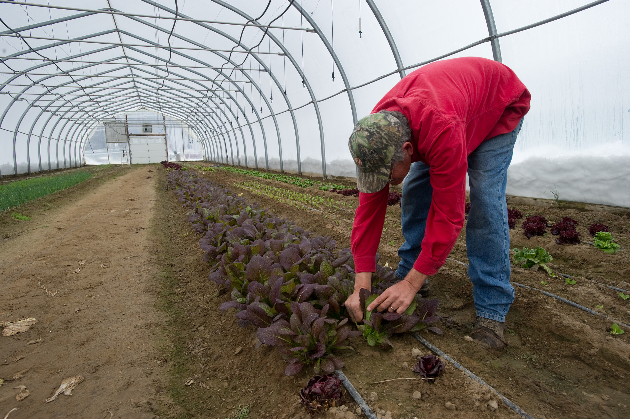 Nikon AF-S Nikkor 17-35mm F2.8D ED-IF sample photo. Planting vegetables on davon crest ii farm, trappe md photography