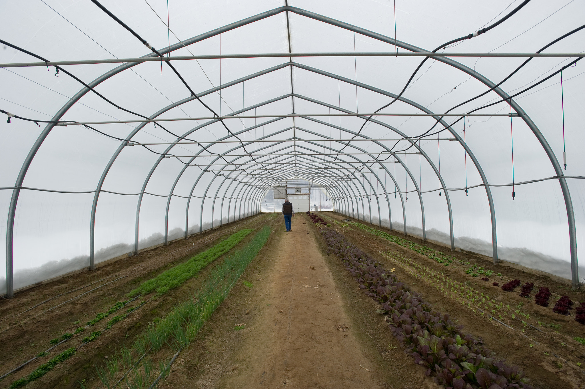 Nikon D3S sample photo. Hoop house on davon crest ii farm, trappe md photography