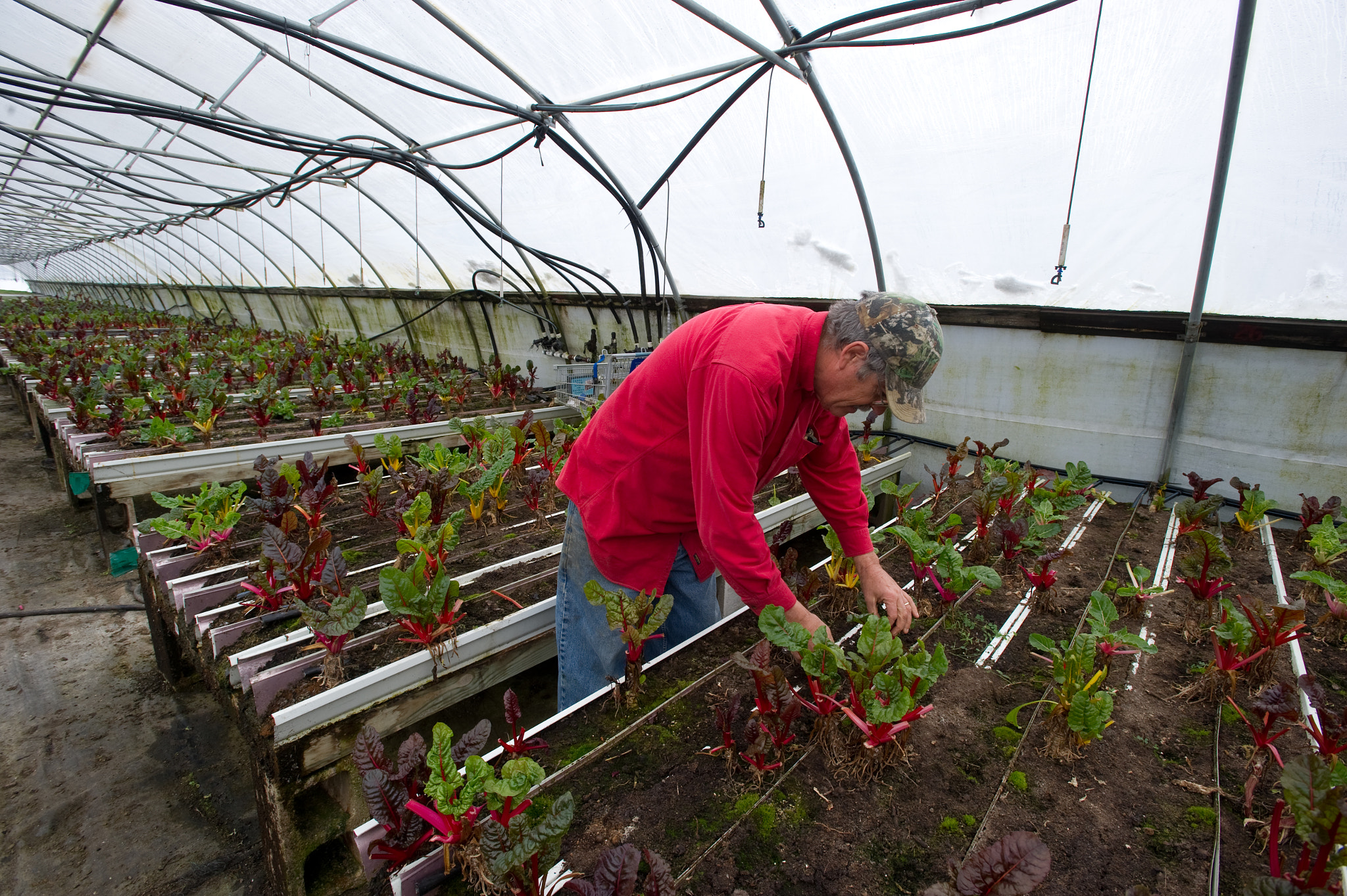 Nikon D3S sample photo. Planting vegetables on davon crest ii farm, trappe md photography