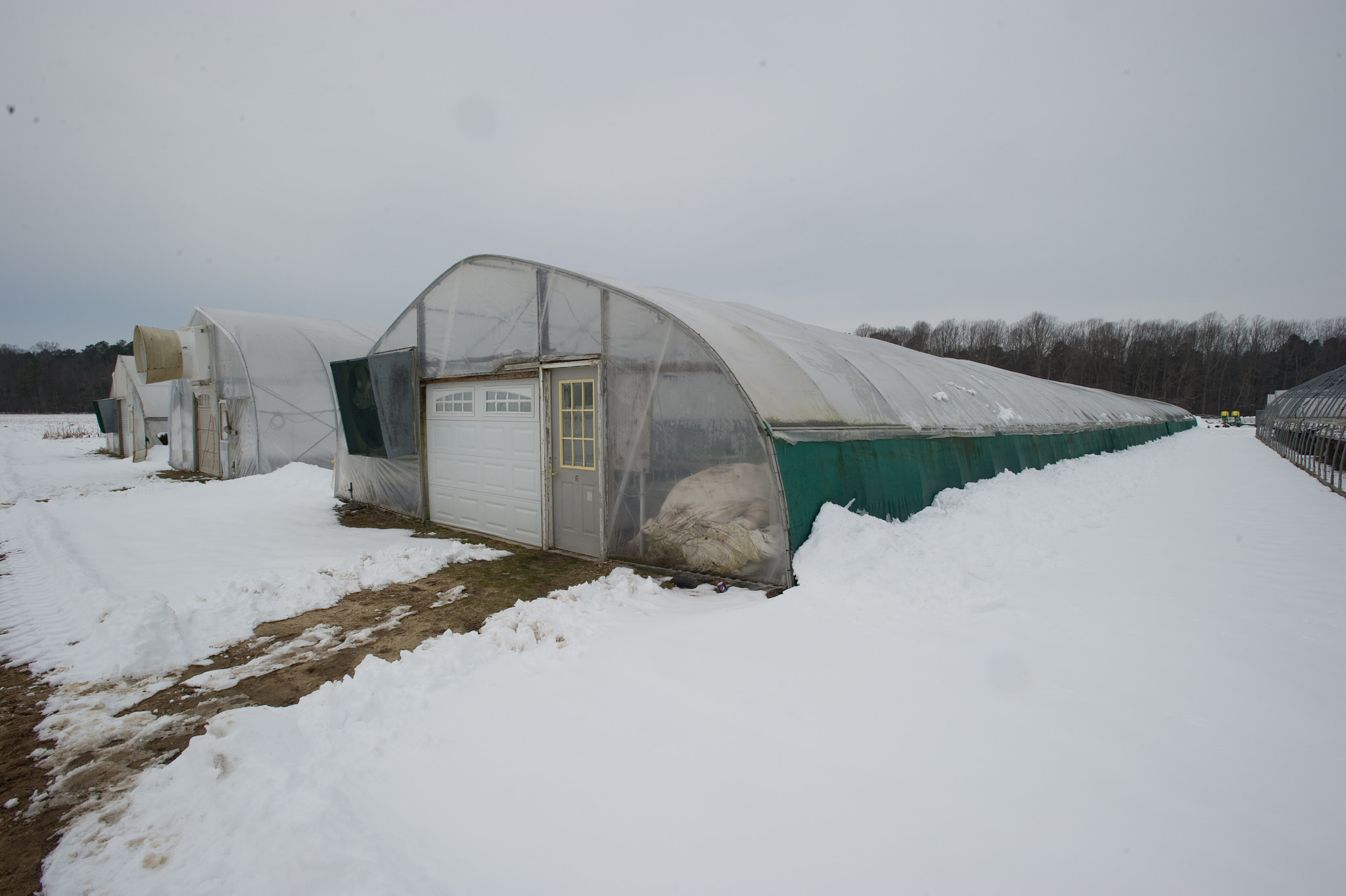 Nikon D3S sample photo. Dave lankford, davon crest ii farm, trappe md photography