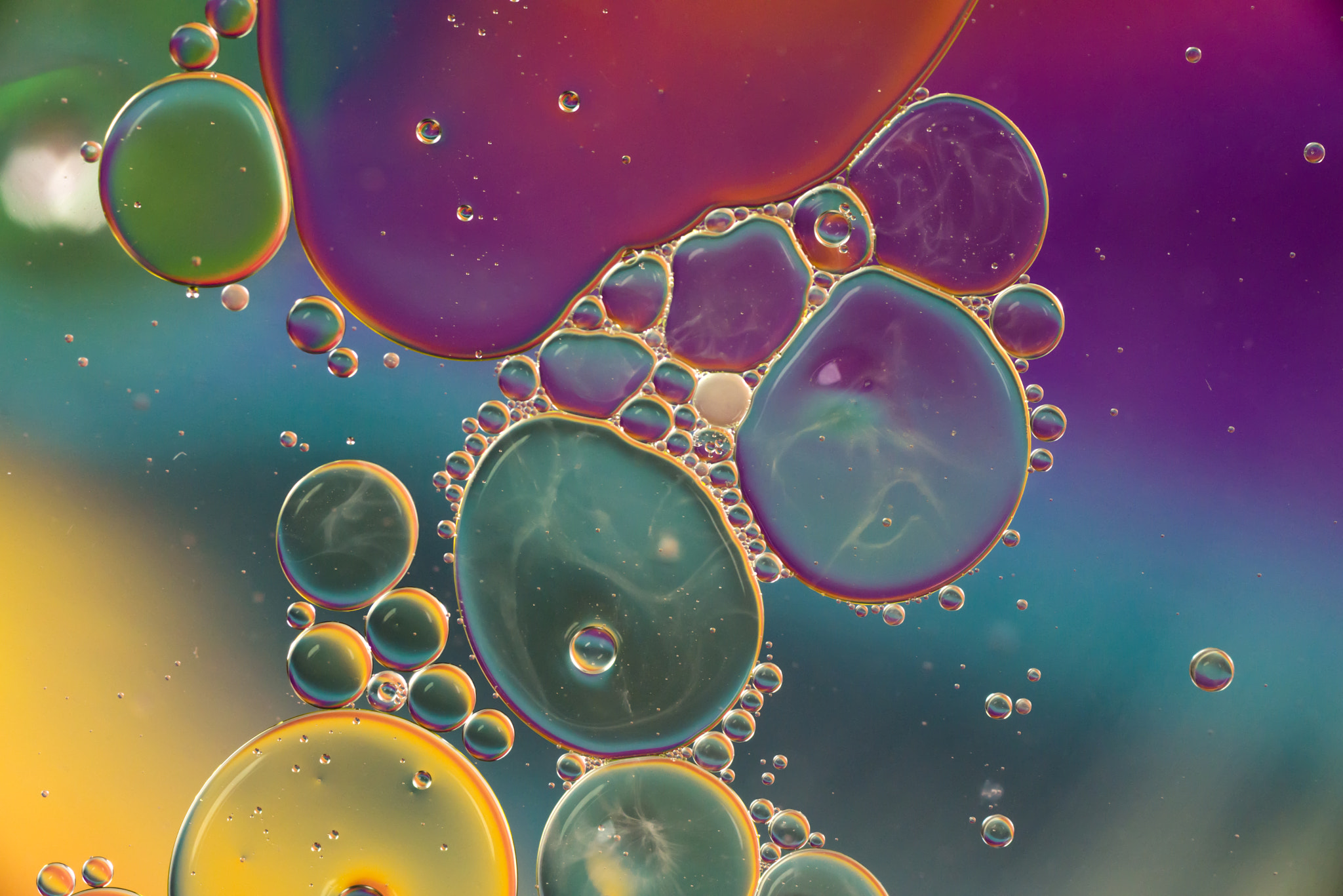 Nikon D610 + AF Micro-Nikkor 105mm f/2.8 sample photo. Rainbow oil and water photography