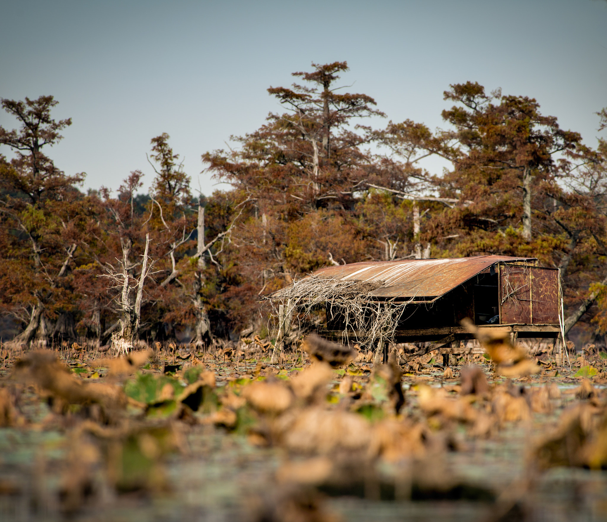 Nikon AF-S Nikkor 300mm F2.8G ED-IF VR sample photo. Oxbow lake hunting photography