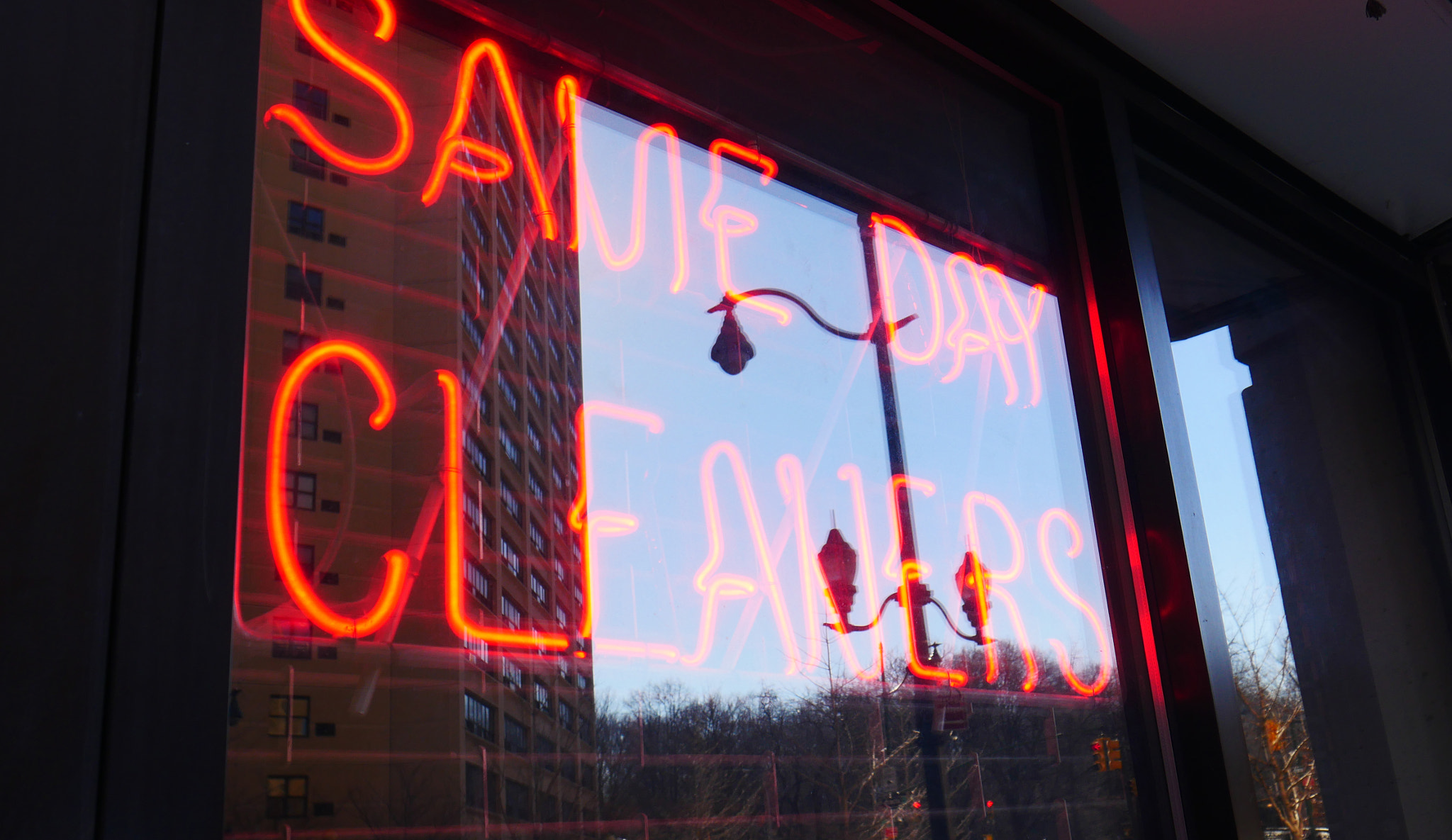 Panasonic Lumix DMC-GX8 sample photo. Neon light photography