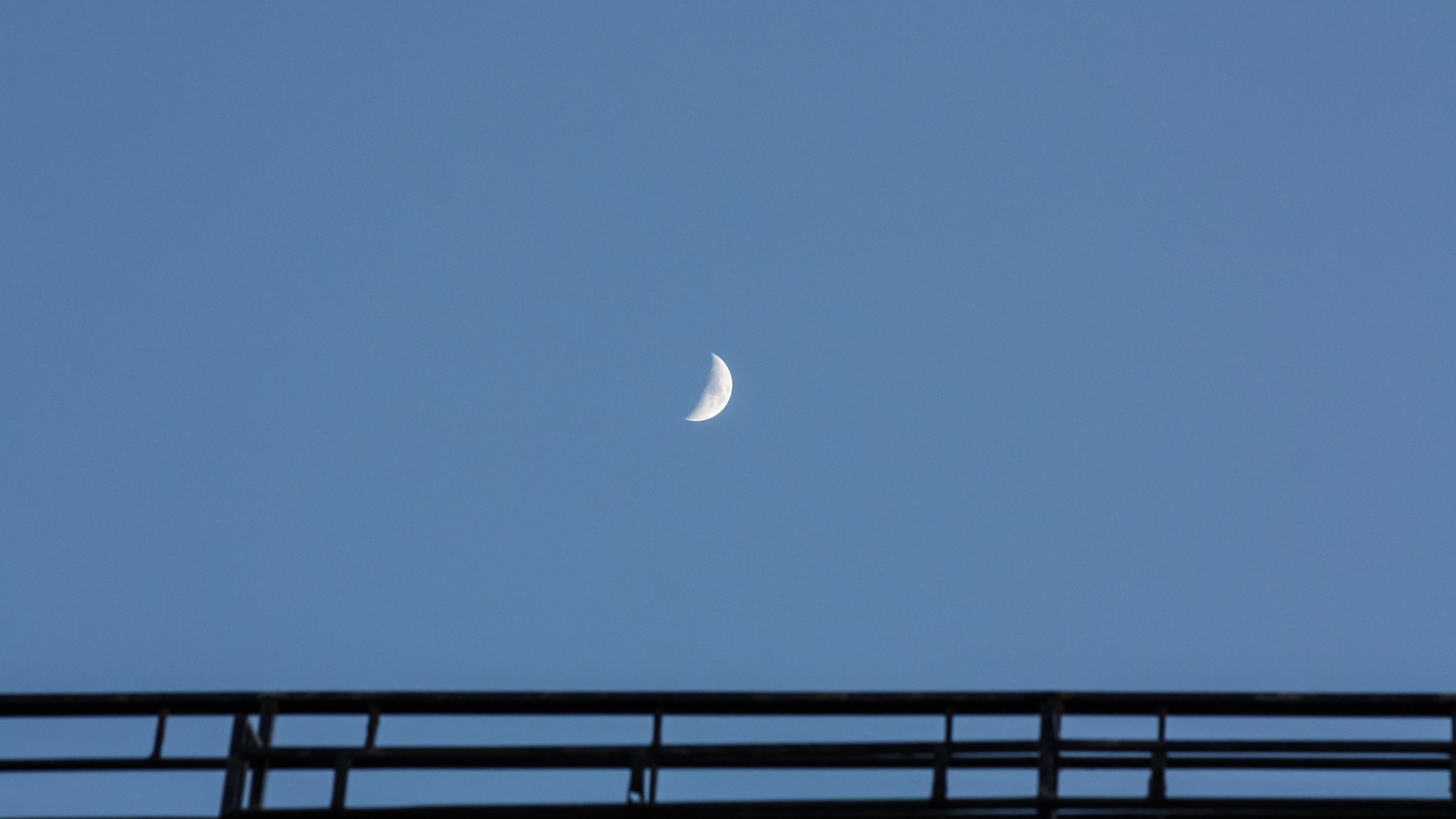 Canon EOS 450D (EOS Rebel XSi / EOS Kiss X2) + EF75-300mm f/4-5.6 sample photo. Balcony moon photography