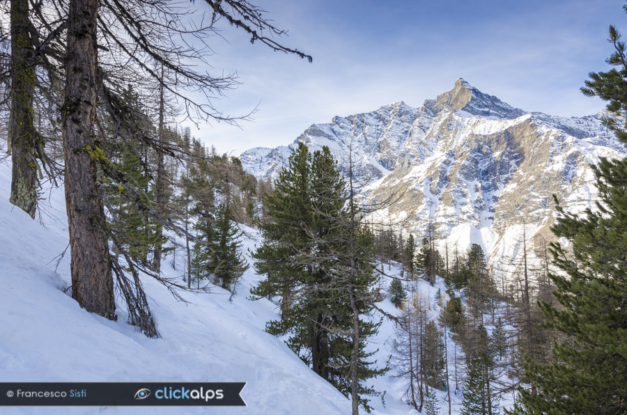 Nikon AF-S Nikkor 16-35mm F4G ED VR sample photo. The ogre of rhêmes (rhêmes valley, valle d'aosta) photography