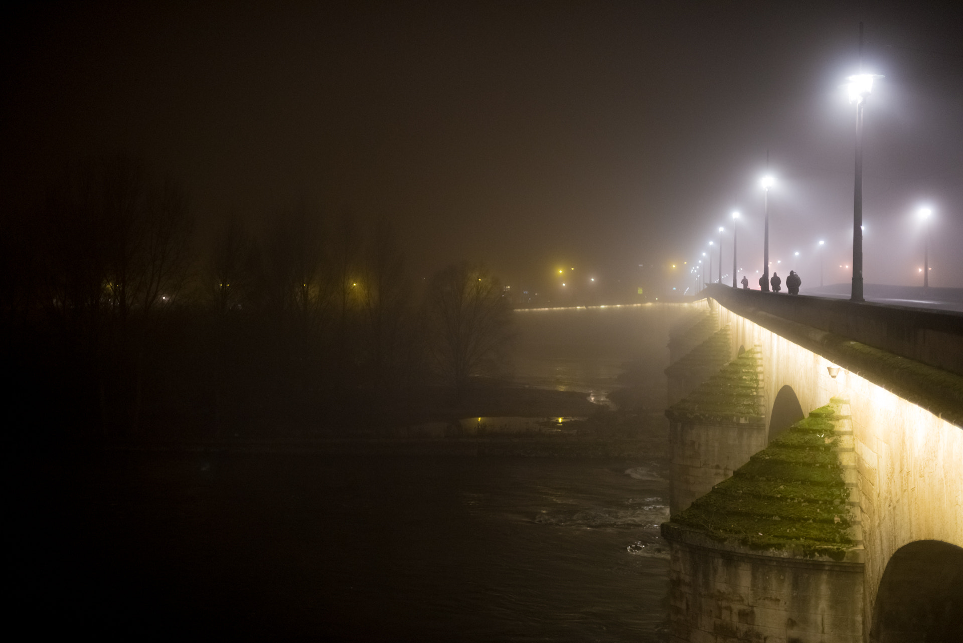 Nikon D750 + AF Nikkor 50mm f/1.4 sample photo. Shadows crossing in the mists photography