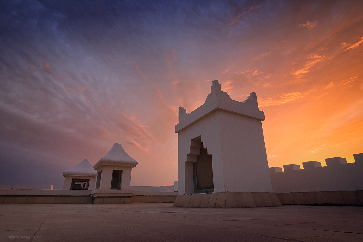 Tokina AT-X Pro 12-24mm F4 (IF) DX sample photo. Зимняя альтернатива photography