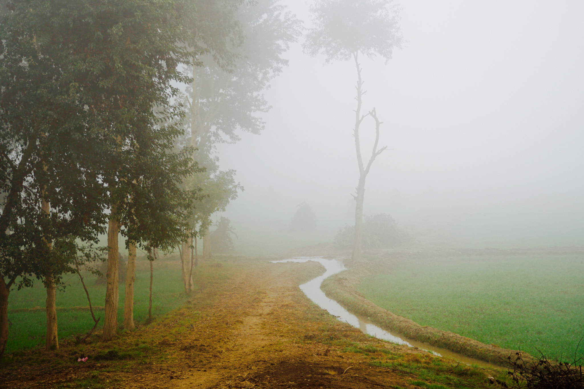 Sony E 18-55mm F3.5-5.6 OSS sample photo. Fog photography