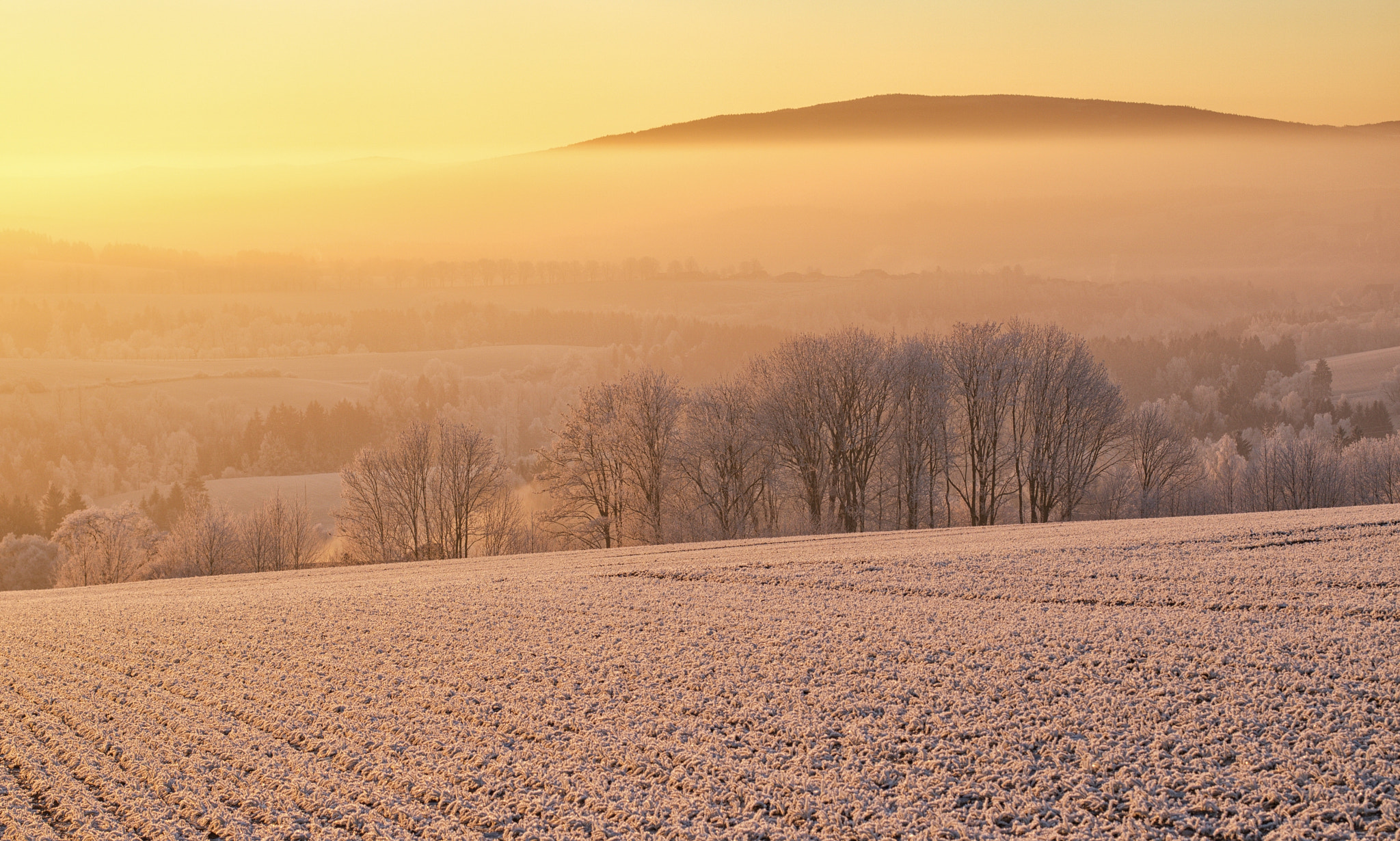 Canon EOS 750D (EOS Rebel T6i / EOS Kiss X8i) + Canon EF 50mm F1.4 USM sample photo. Frozen sunrise photography