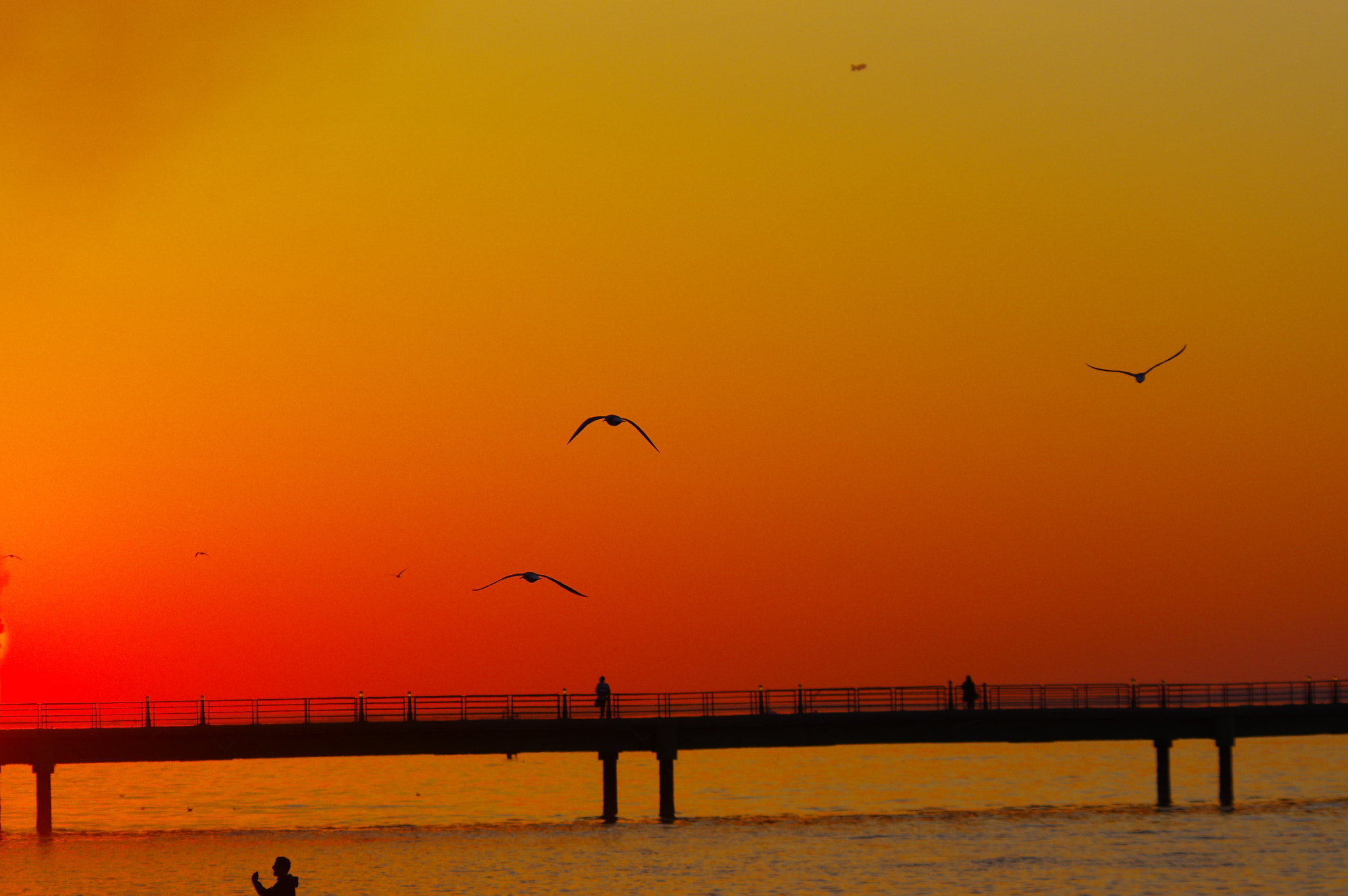 HD Pentax DA 55-300mm F4.0-5.8 ED WR sample photo