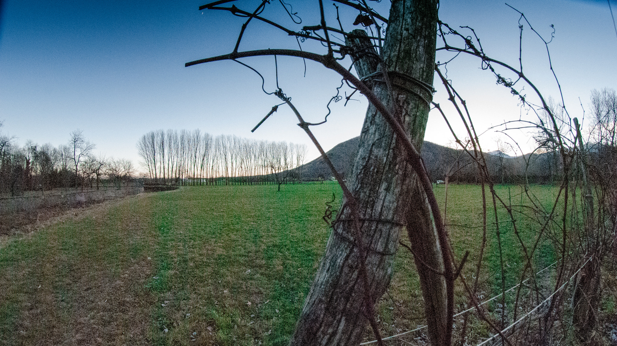 Nikon D3000 + Samyang 8mm F3.5 Aspherical IF MC Fisheye sample photo. Untitled photography