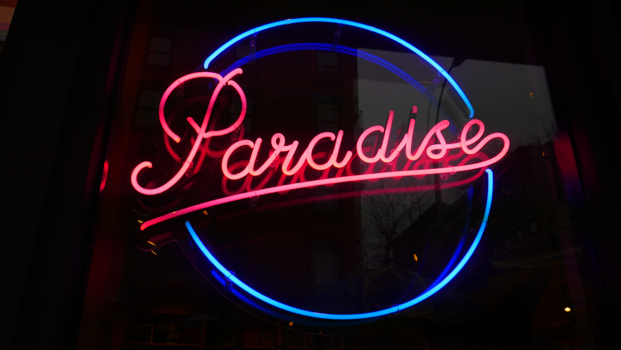 Panasonic Lumix DMC-GX8 sample photo. Neon light photography