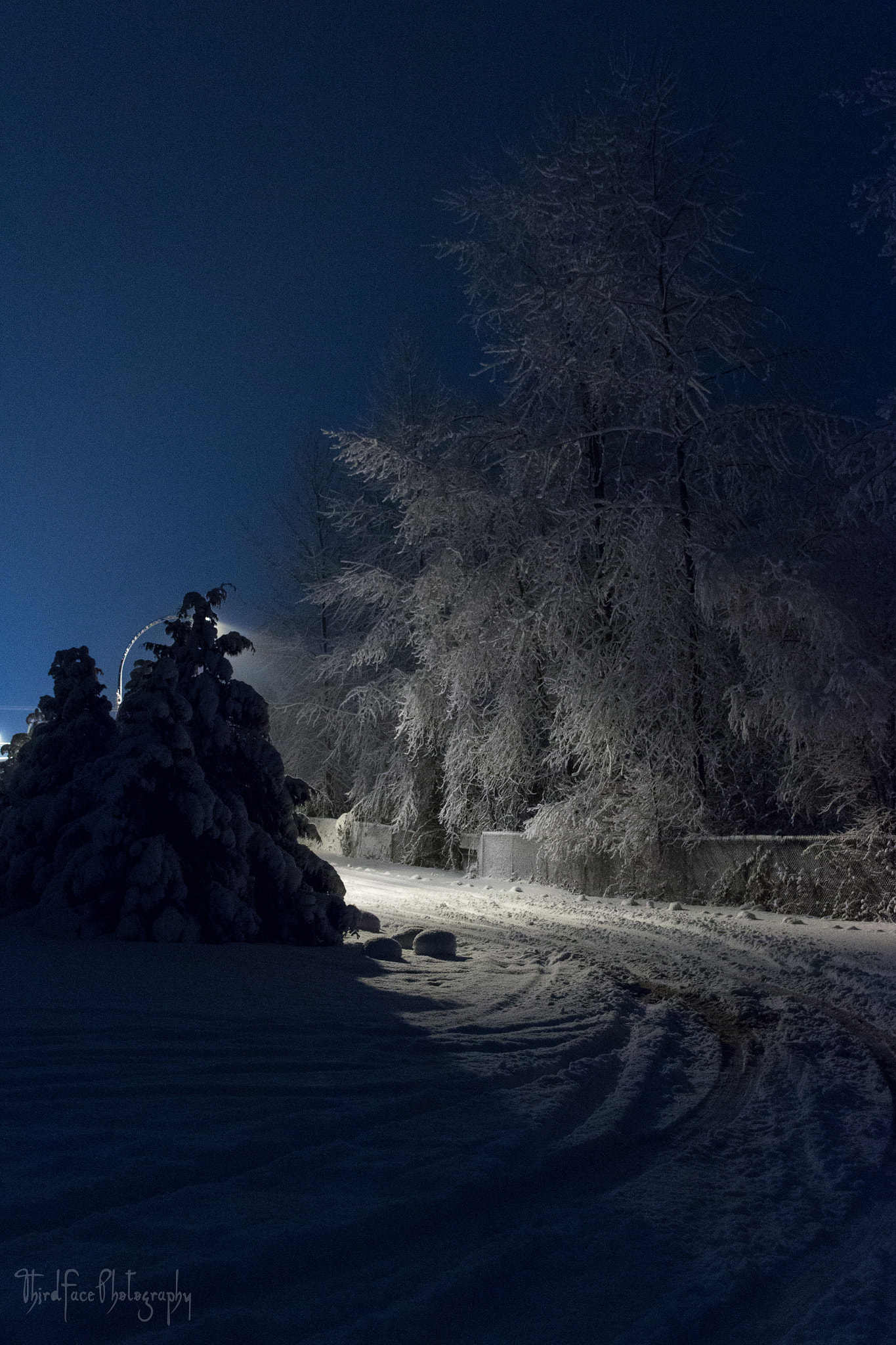 Sigma 18-250mm F3.5-6.3 DC OS HSM sample photo. Snow & light photography