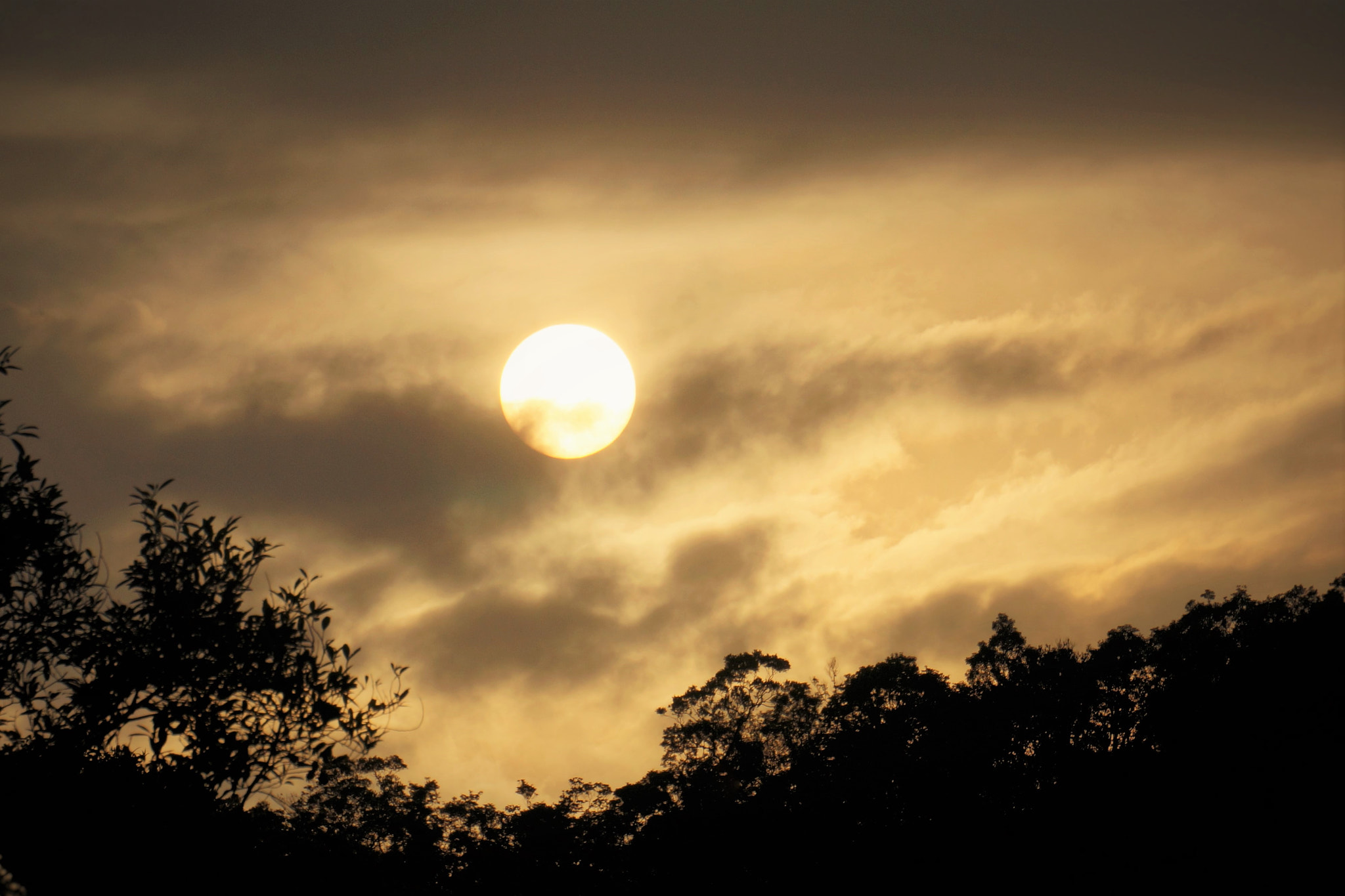 Sony E 55-210mm F4.5-6.3 OSS sample photo. Sunset over kaiping mountain farm 開萍莊園 photography