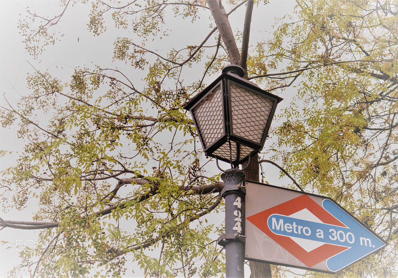 Panasonic Lumix DMC-G5 sample photo. Subway sign among trees photography