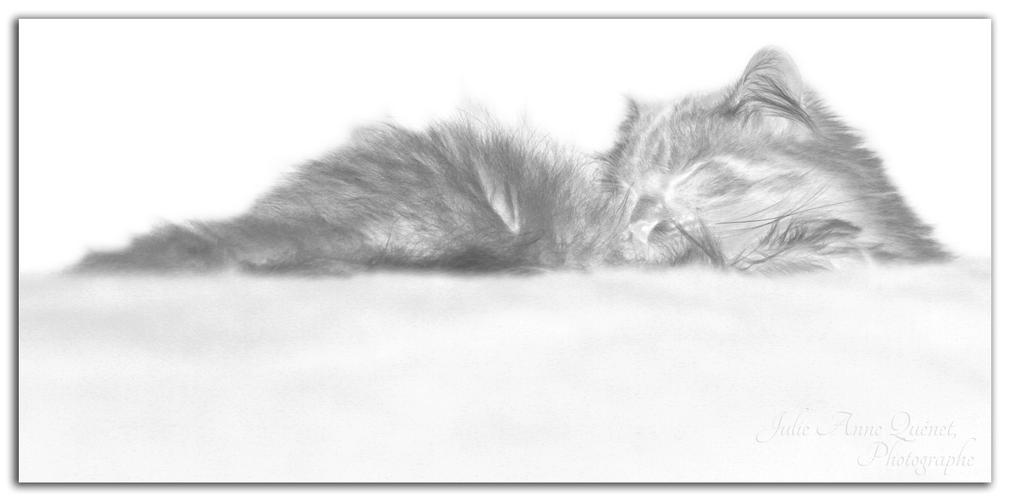 Sigma 18-250mm F3.5-6.3 DC OS HSM sample photo. Spectre photography