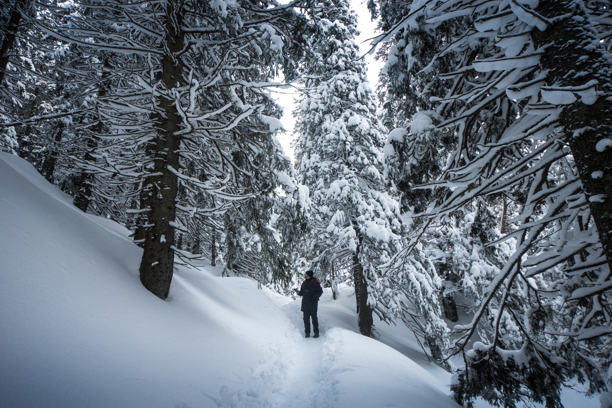 Nikon D800 sample photo. Tatra mountains, poland. photography