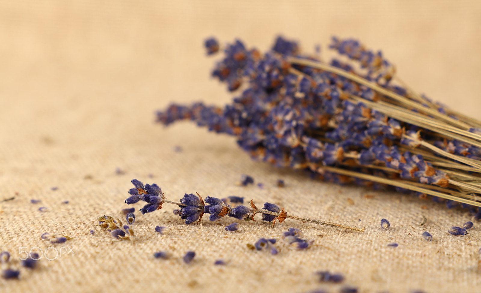 Canon EOS 5DS sample photo. Dried lavender flowers bouquet on canvas photography