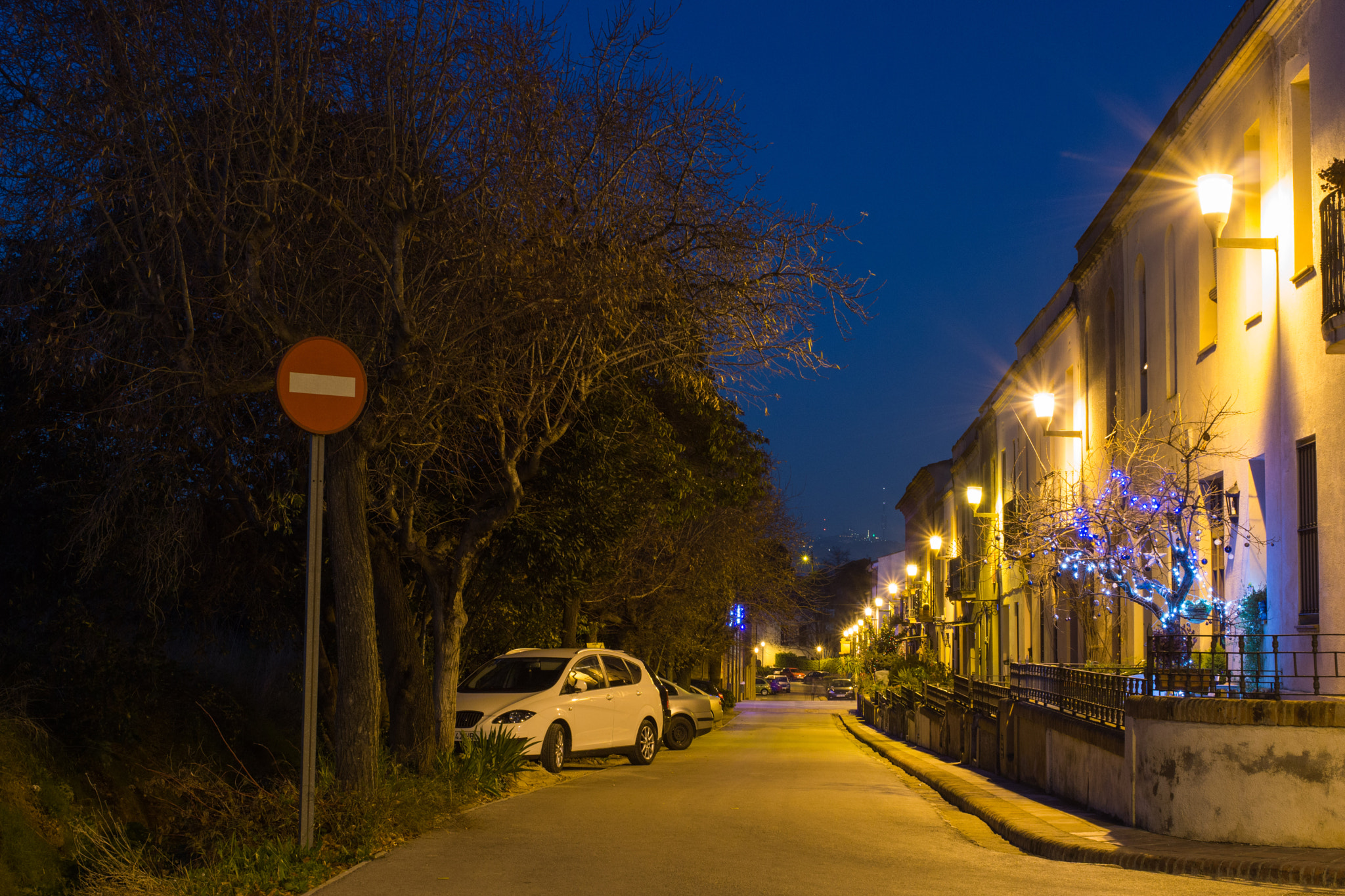 Sony a6000 + Sony DT 35mm F1.8 SAM sample photo. Pequeña iluminación navideña photography