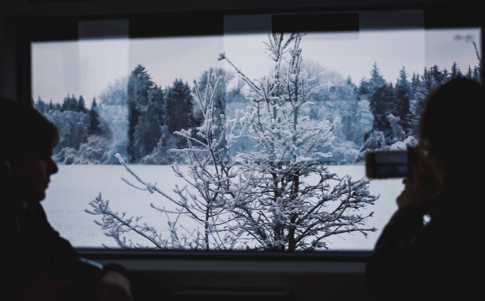 Canon EOS 700D (EOS Rebel T5i / EOS Kiss X7i) + Canon EF 40mm F2.8 STM sample photo. Exploring germany photography