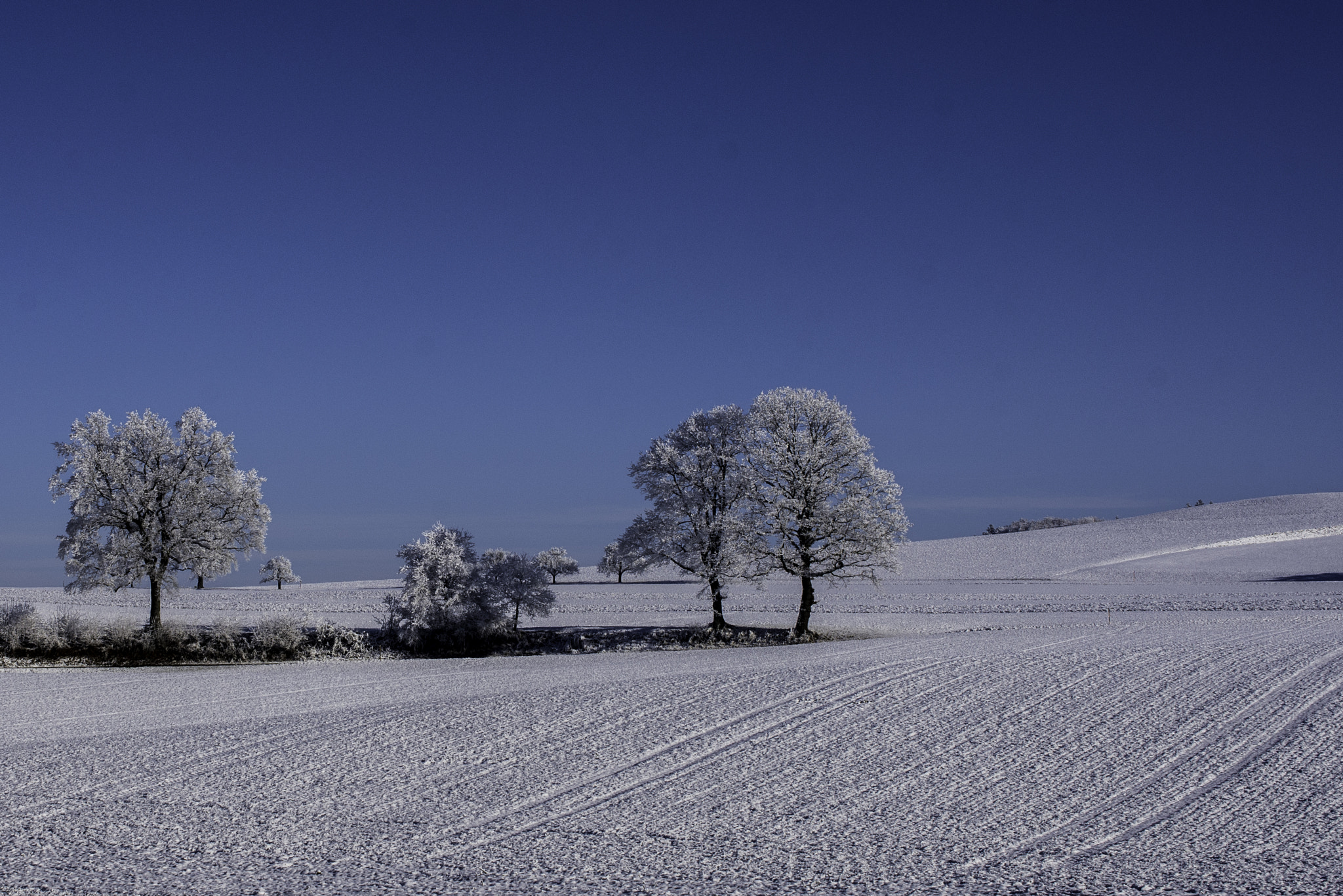 Nikon AF-S DX Micro Nikkor 40mm F2.8 sample photo. Winter landscape photography