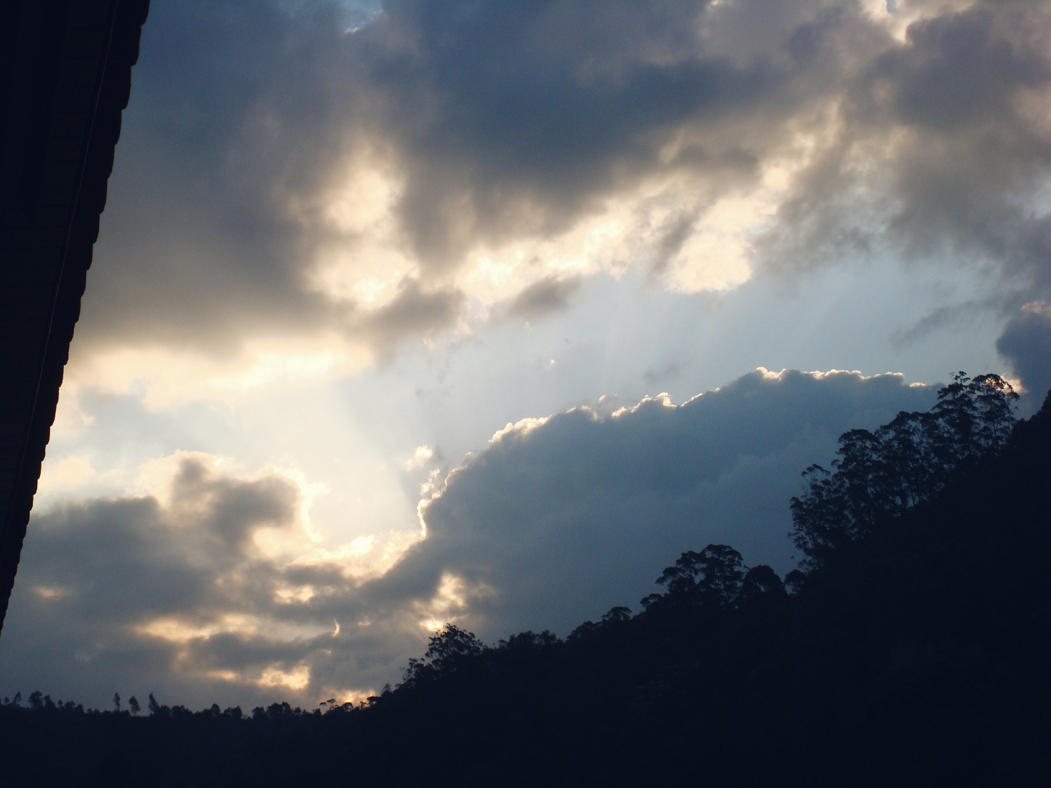 Sony DSC-W90 sample photo. . photography