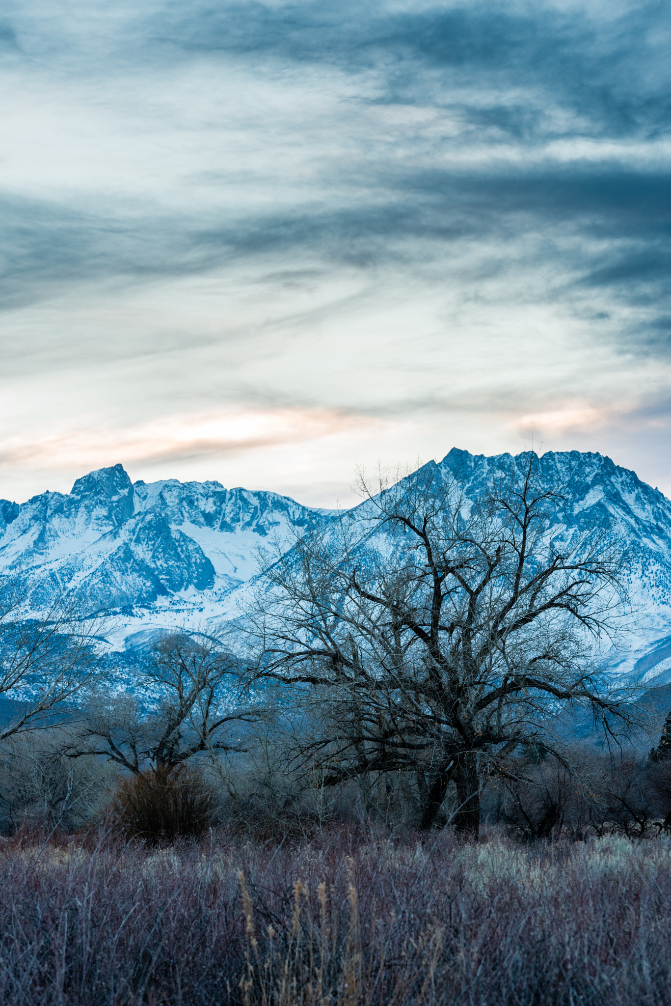 Sigma 18-200mm F3.5-6.3 DC OS HSM sample photo. Road trip views photography