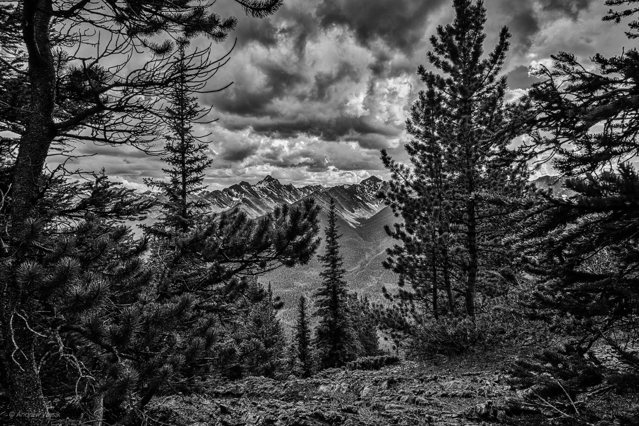 E 21mm F2.8 sample photo. Rockies from sulfur mountain photography