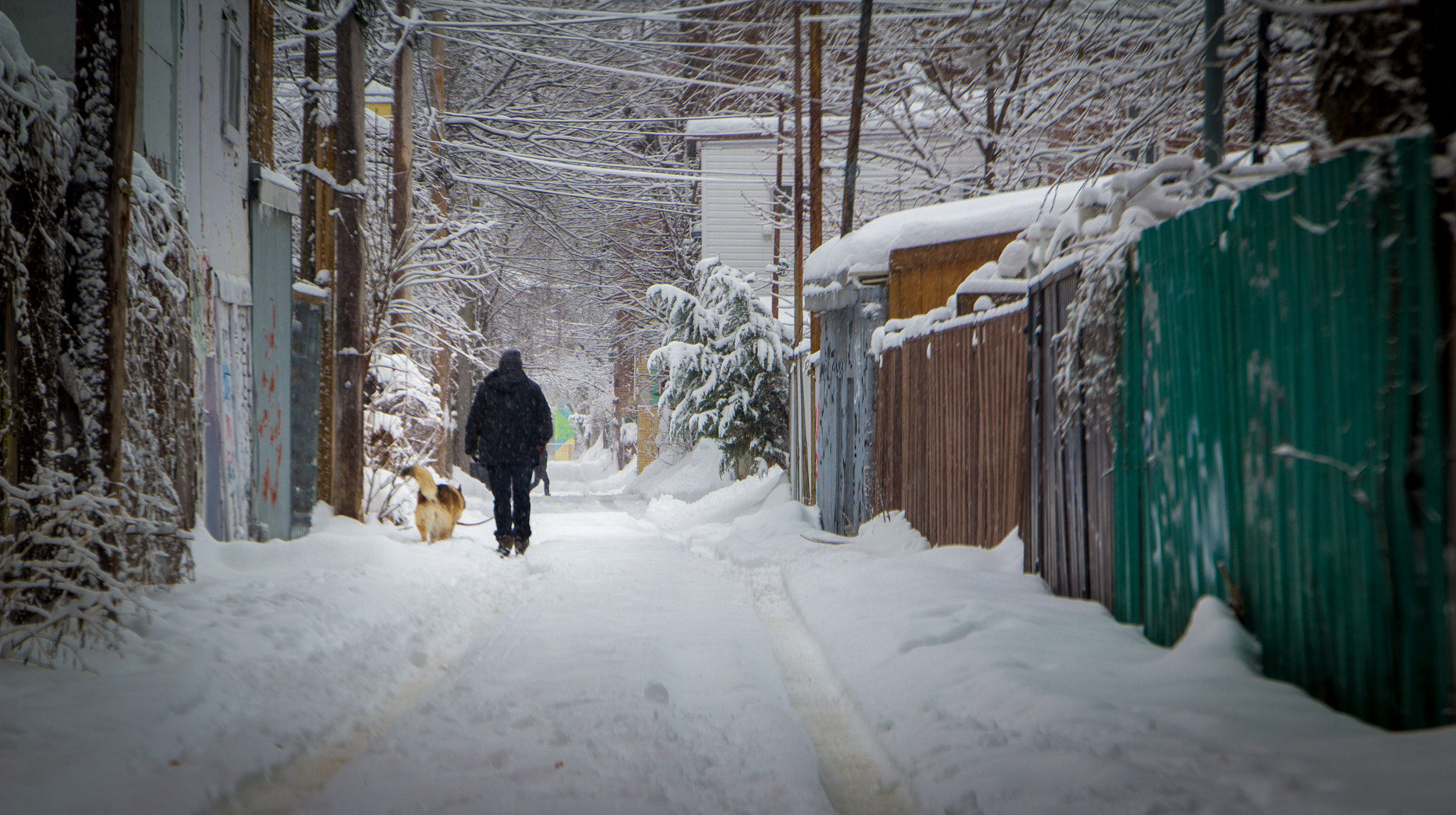 Canon EOS 60D sample photo. Snowy winter alley in montreal photography
