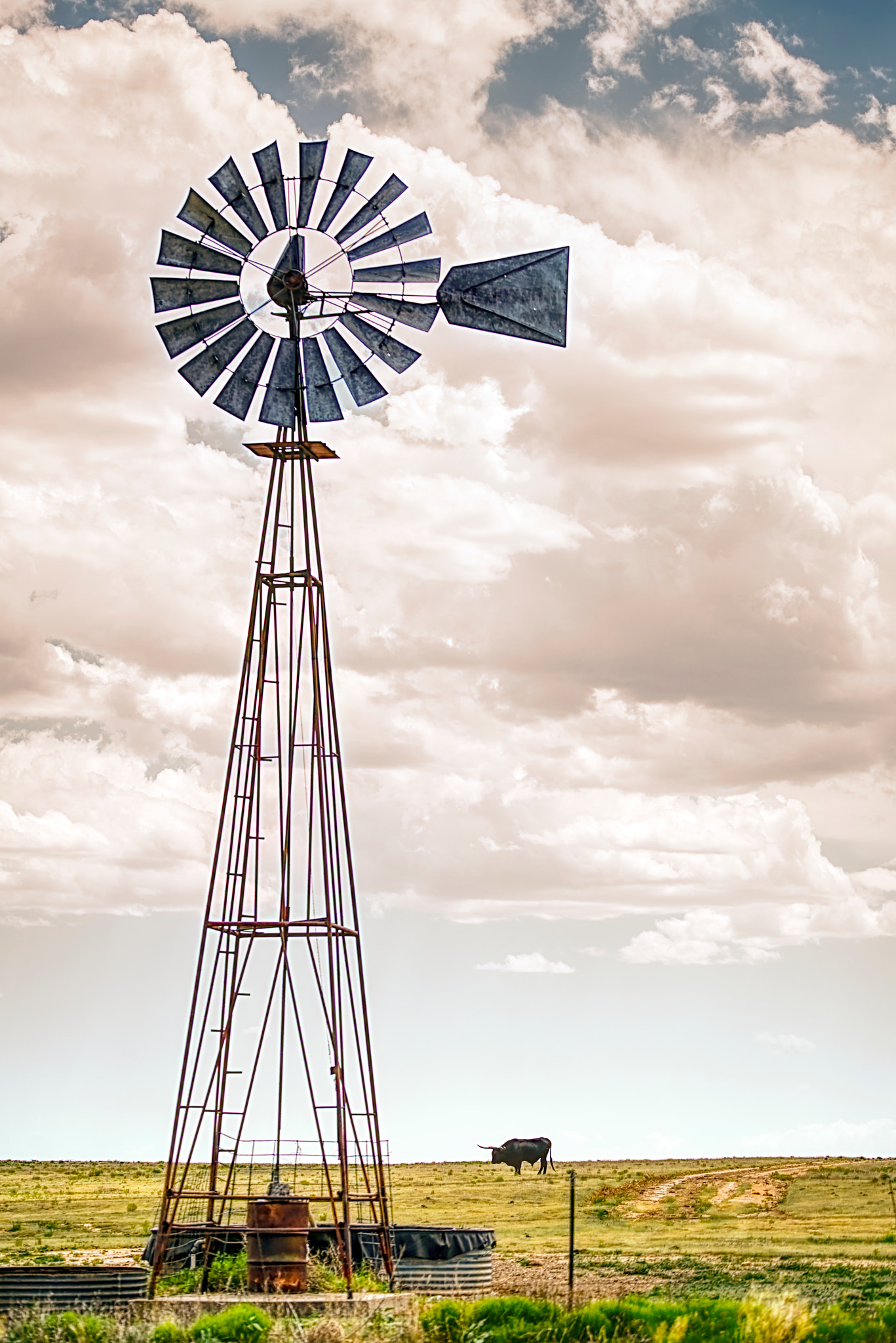 Sony FE 70-200mm F4 G OSS sample photo. The windmill and the bull photography