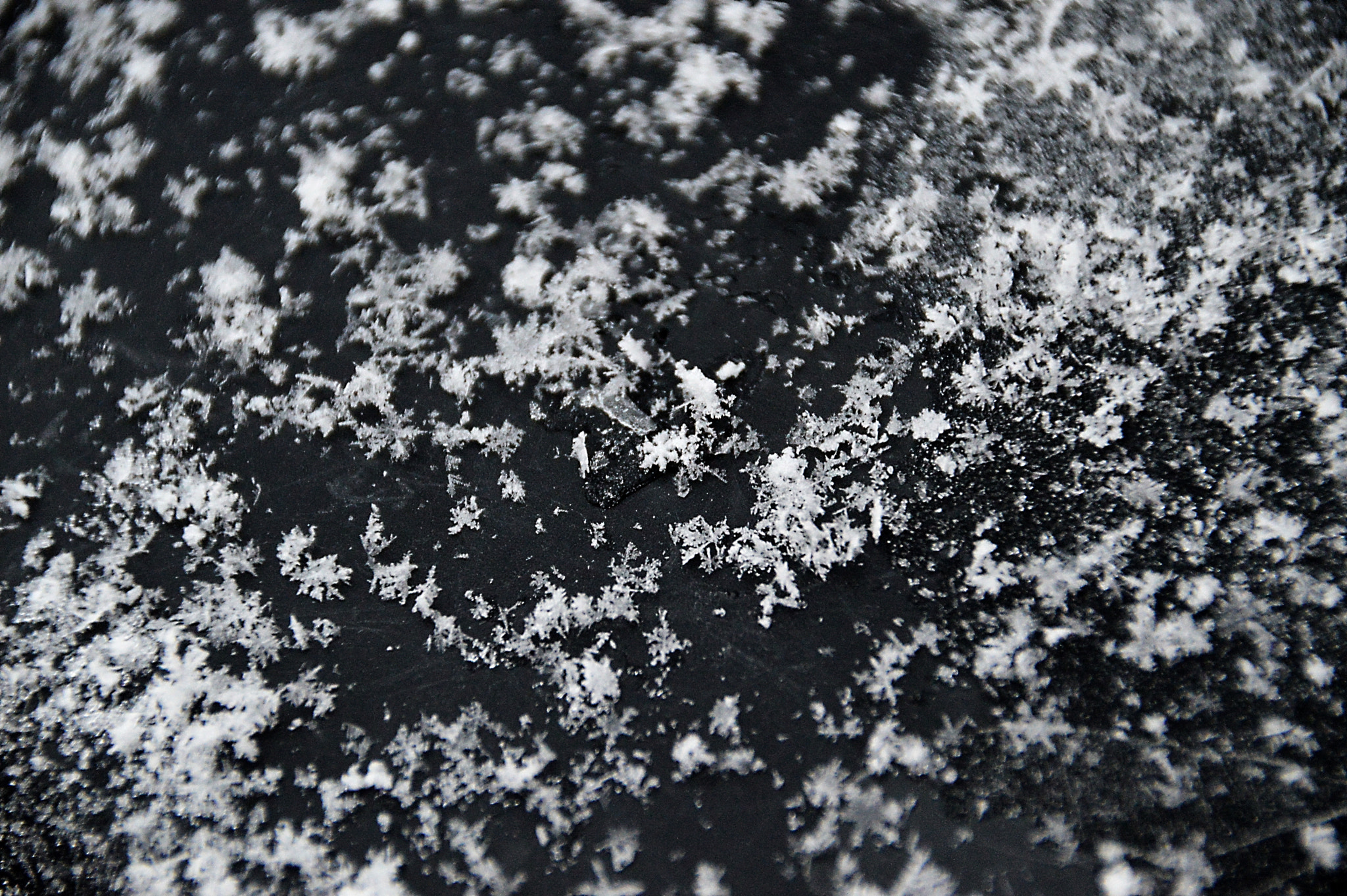 Nikon D3200 + Sigma 18-200mm F3.5-6.3 II DC OS HSM sample photo. Snowflakes photography