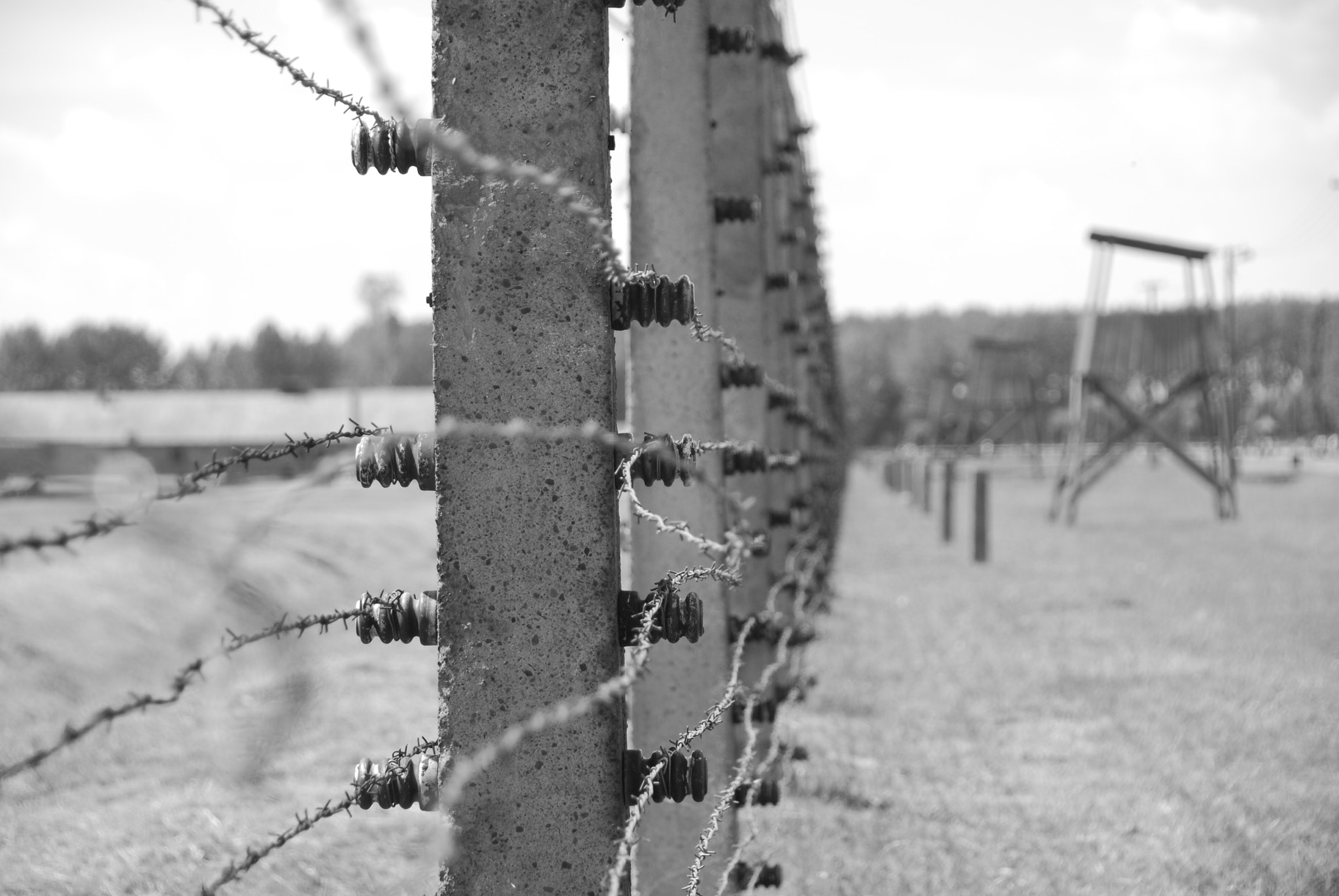 Nikon D40X sample photo. Csc photography