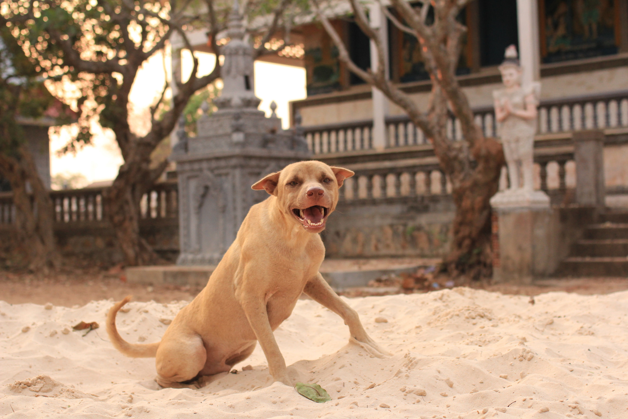 Canon EOS 60D + Canon EF 35mm F2 sample photo. Cambodia photography