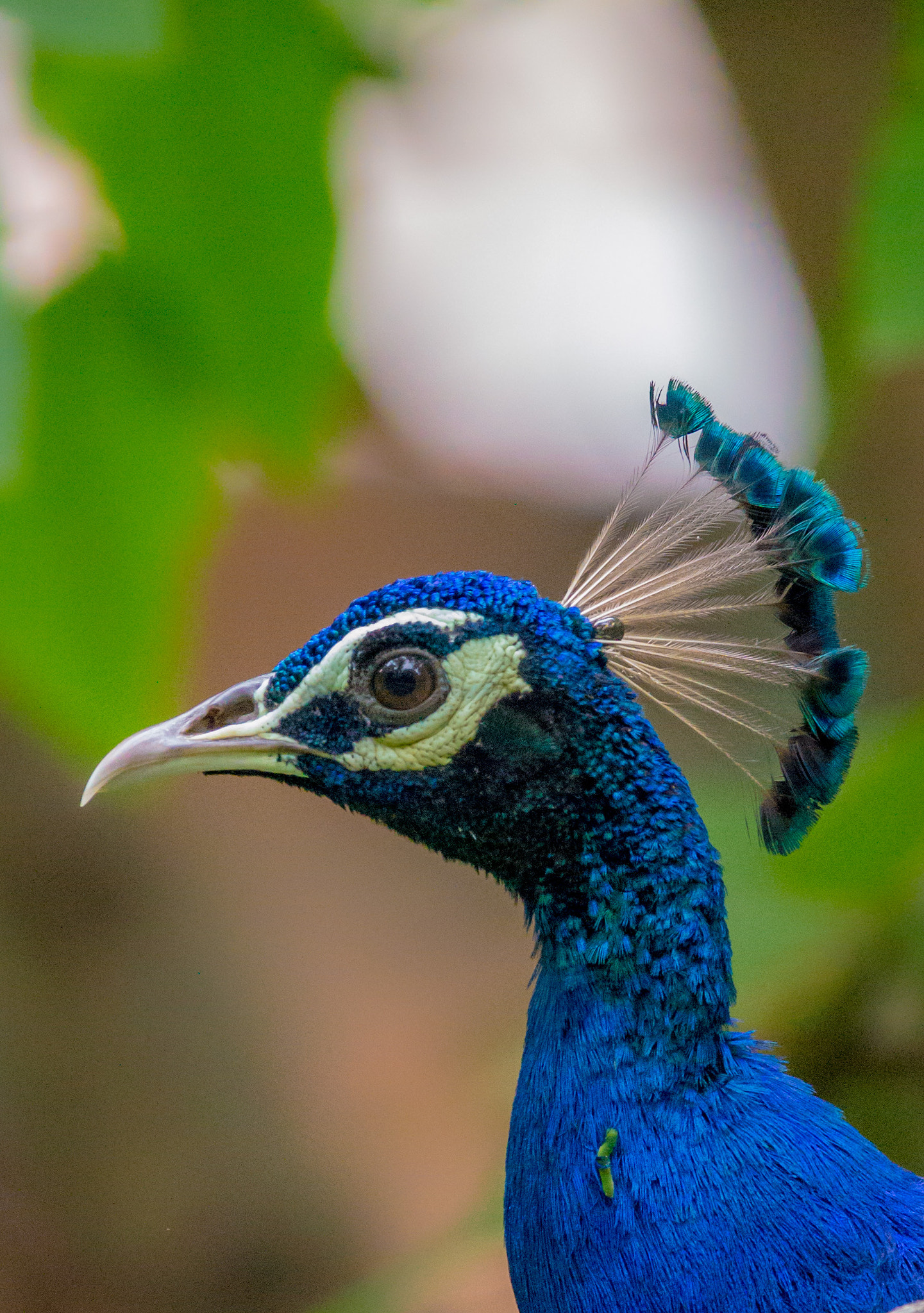 Nikon Nikkor AF-S 300mm F4E PF ED VR sample photo. The look photography