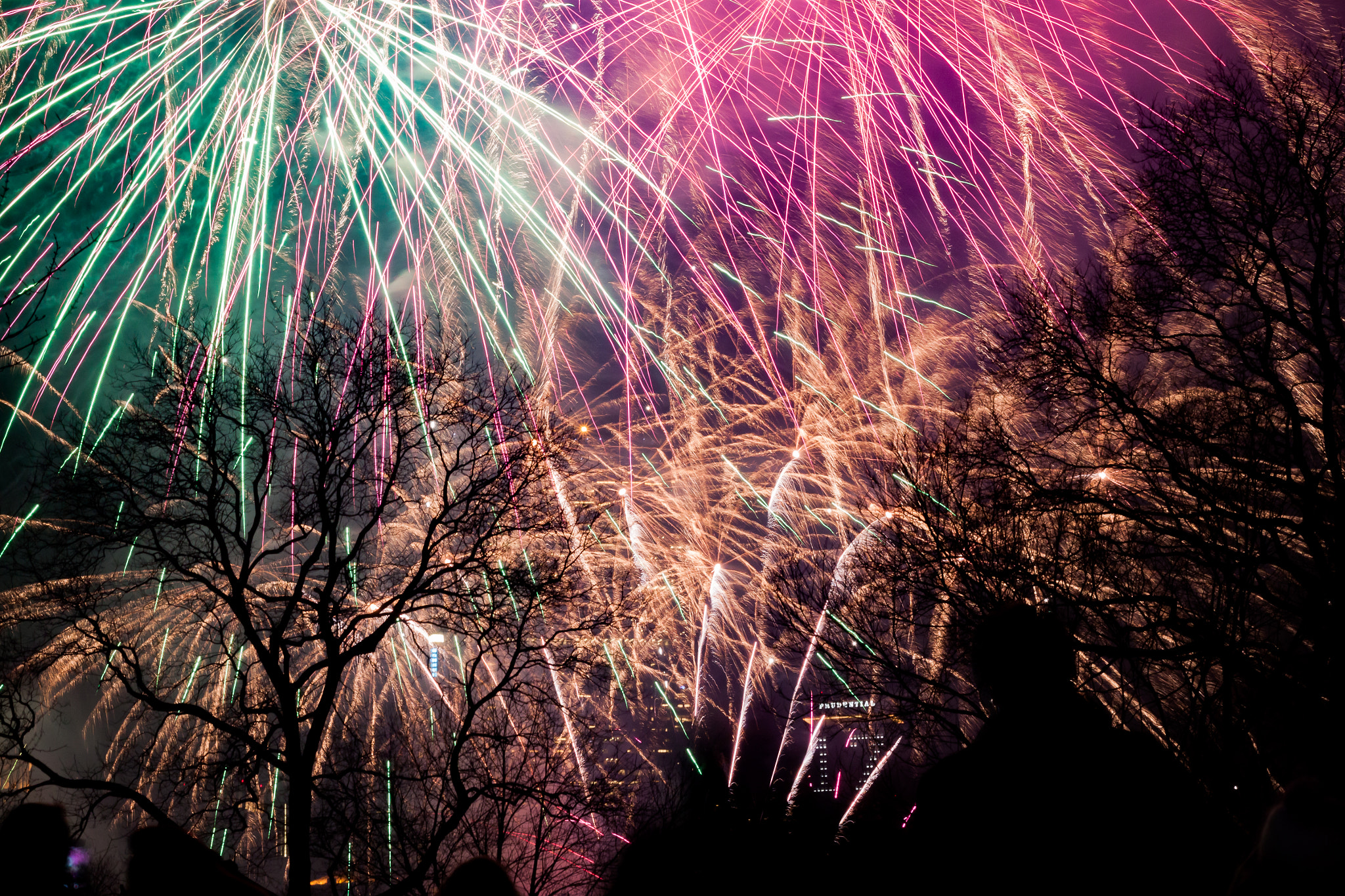 Canon EOS 500D (EOS Rebel T1i / EOS Kiss X3) sample photo. Nye 2016 boston common photography
