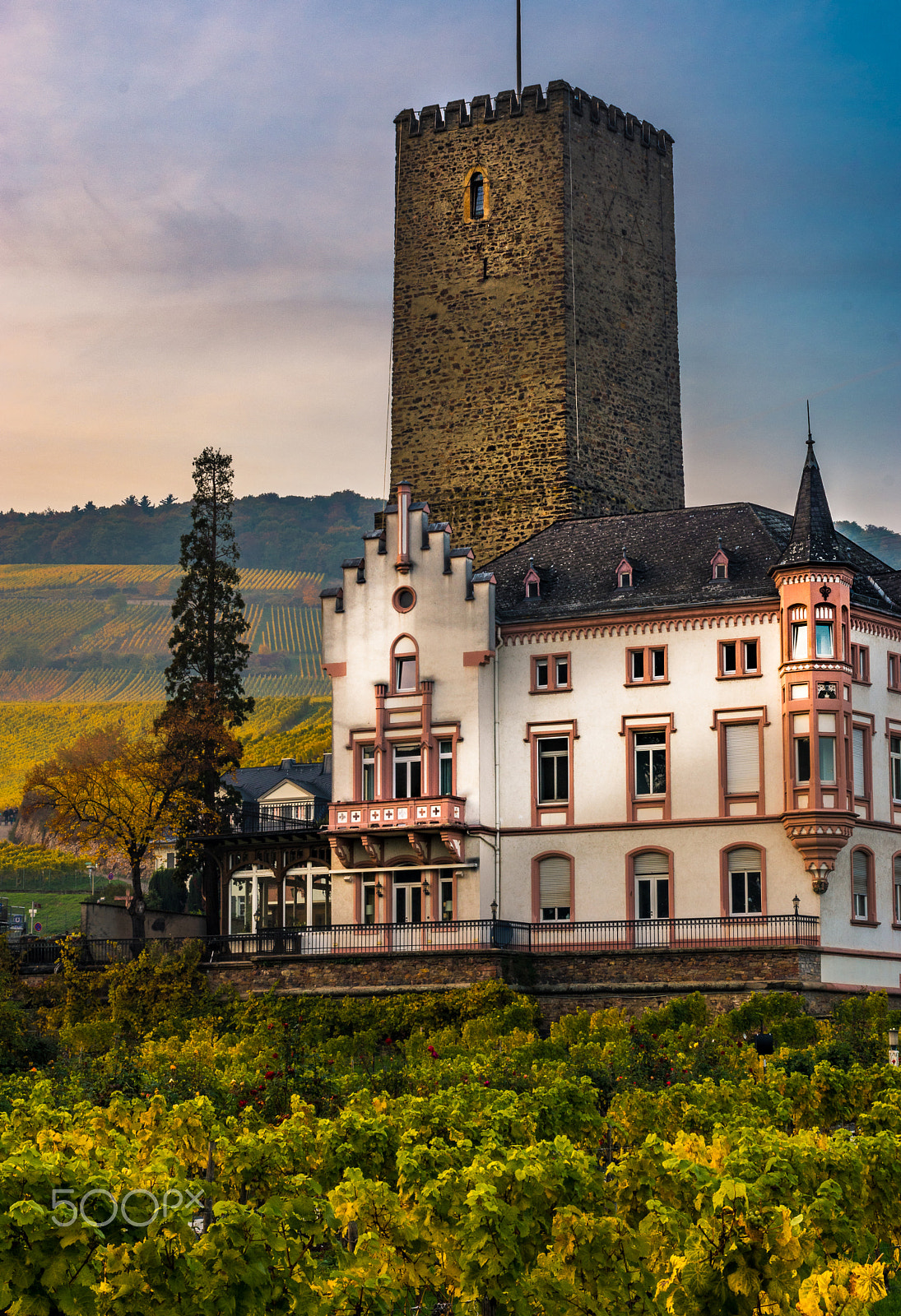 Pentax K-3 + Sigma sample photo. Rüdesheim tower house photography