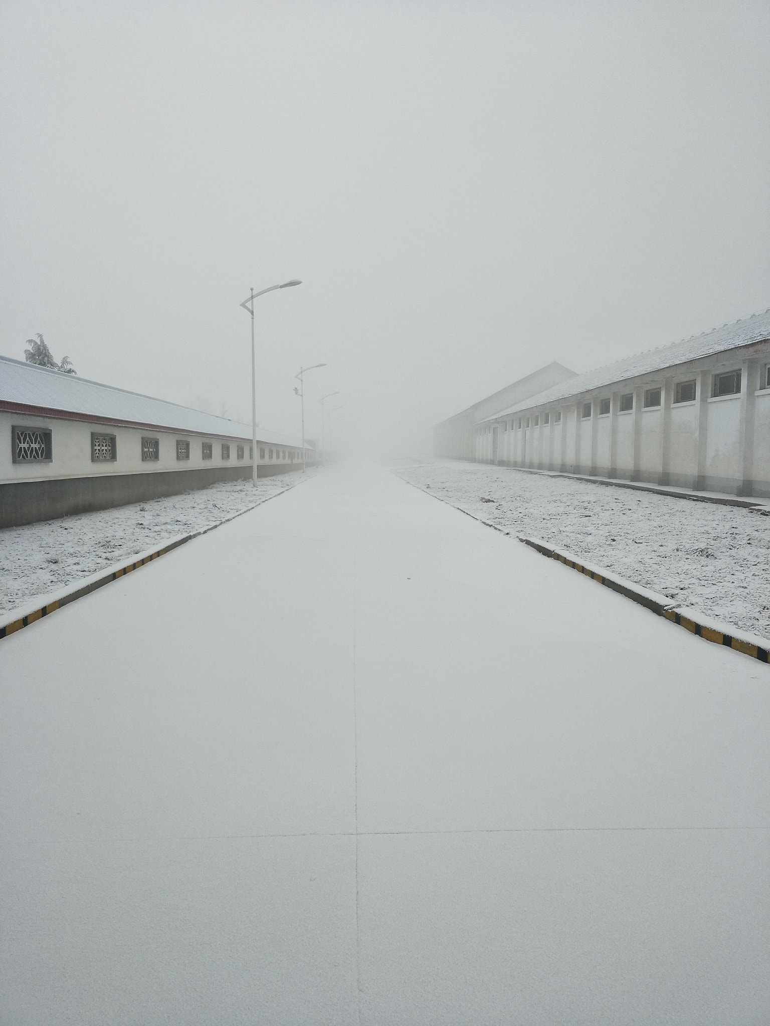 OPPO R9S PLUS sample photo